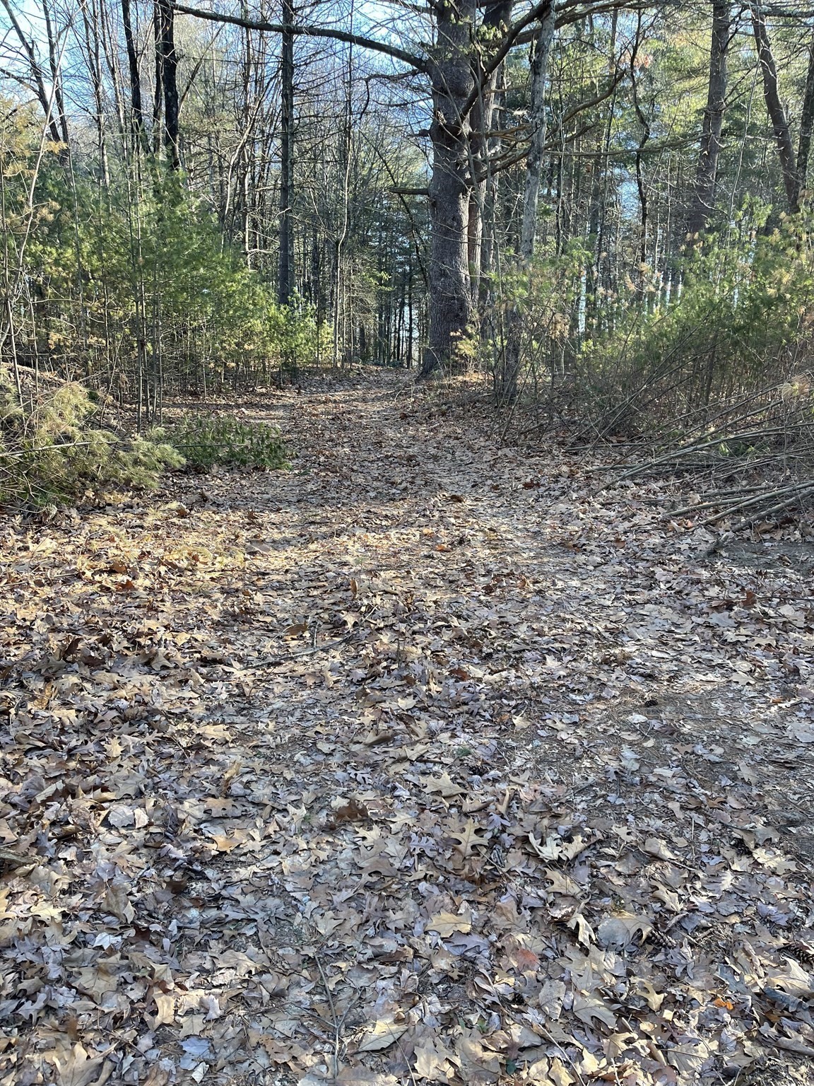 38 Michael Sears, Belchertown, MA 01007 - Image 2