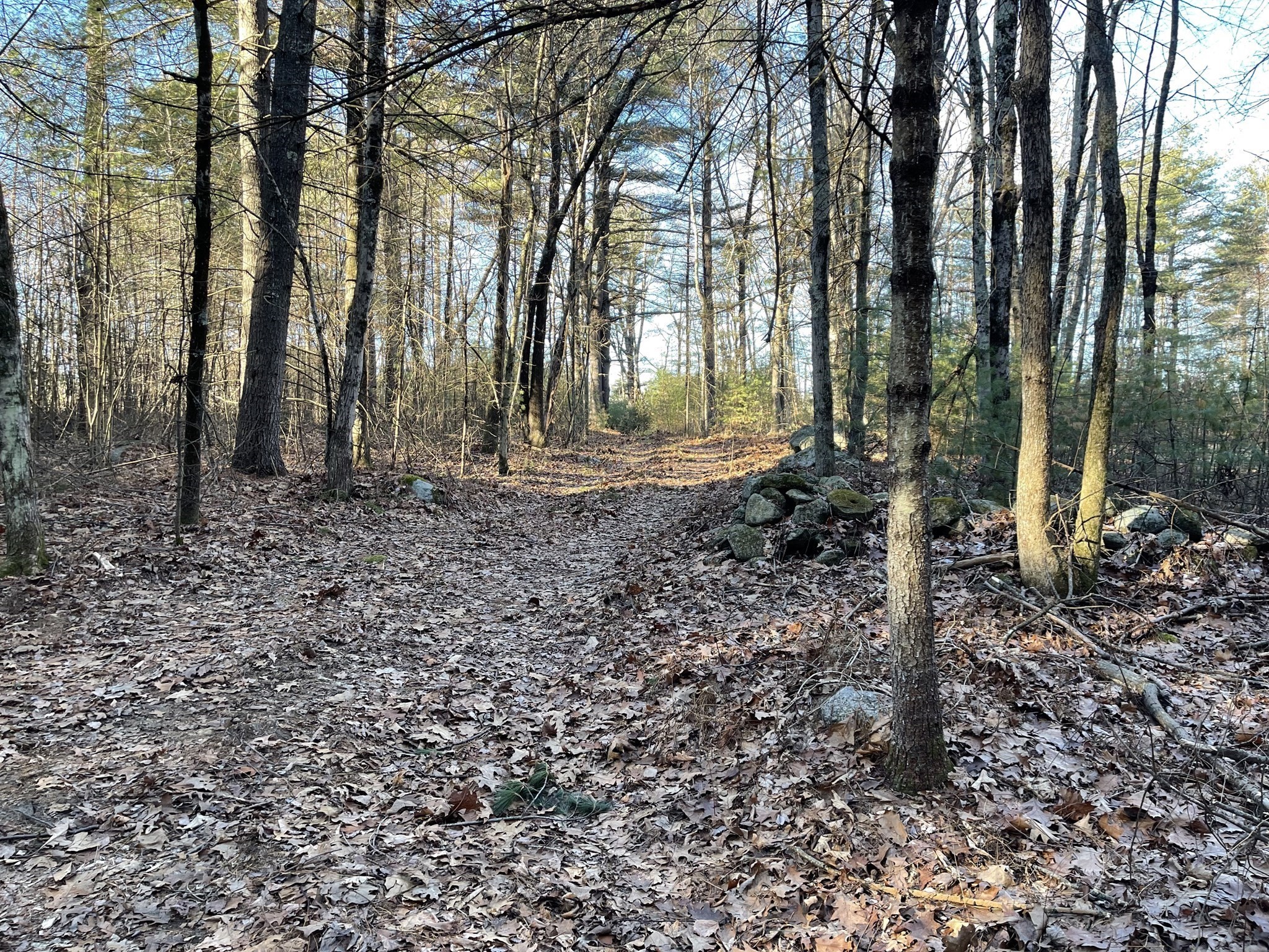 38 Michael Sears, Belchertown, MA 01007 - Image 3