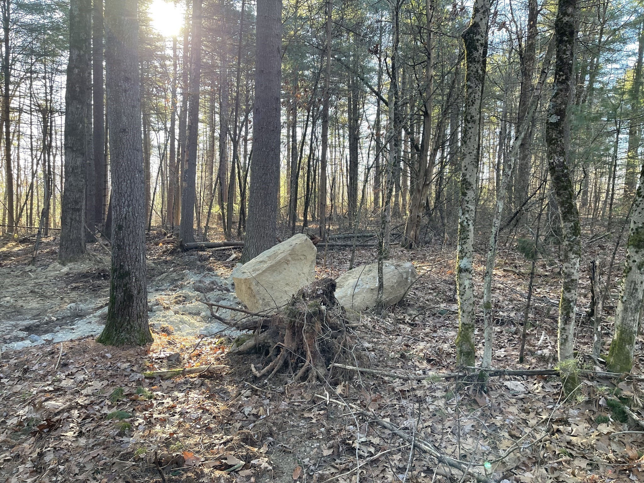 38 Michael Sears, Belchertown, MA 01007 - Image 4