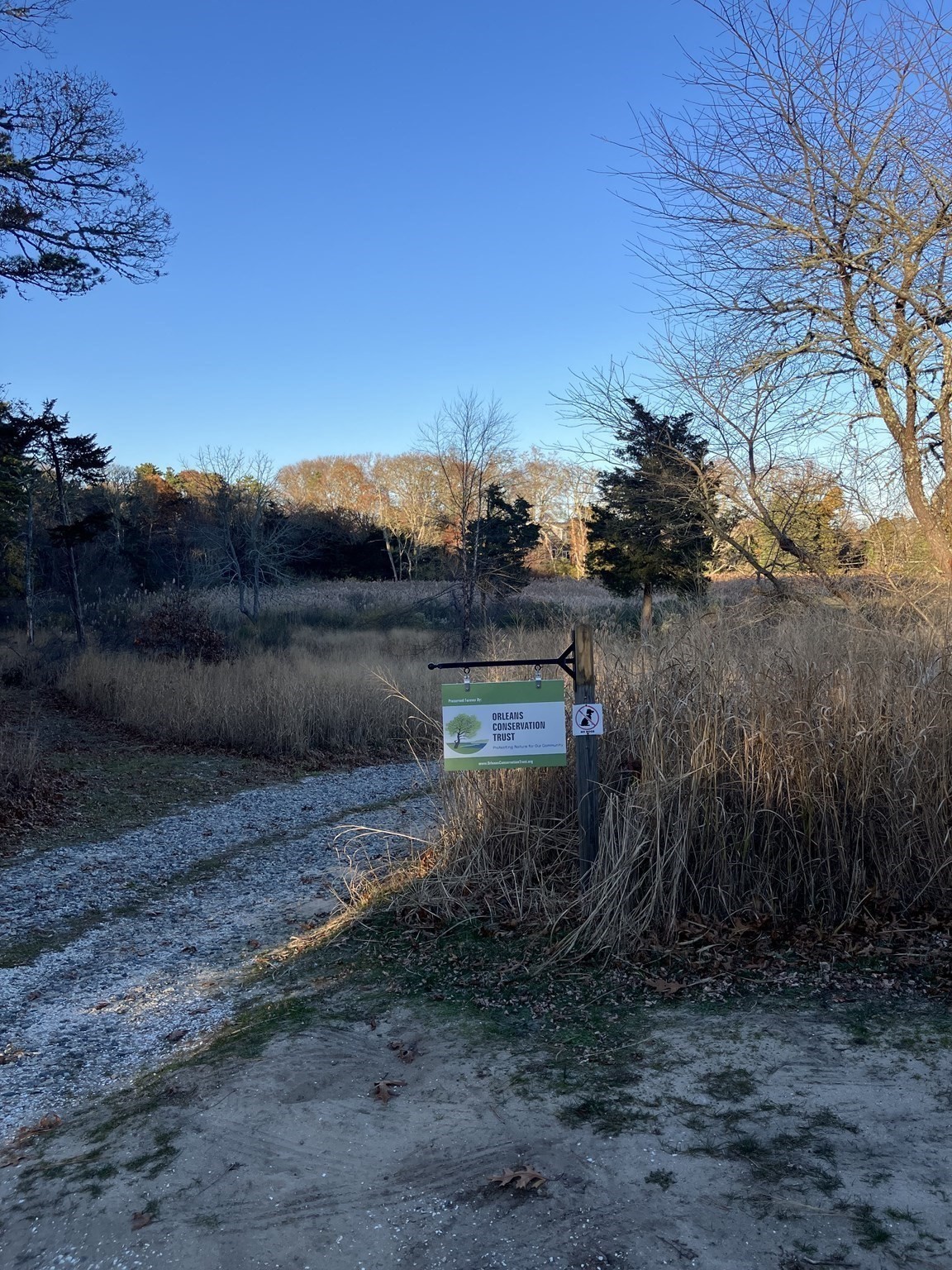 6 Apple, Orleans, MA 02653 - Image 4