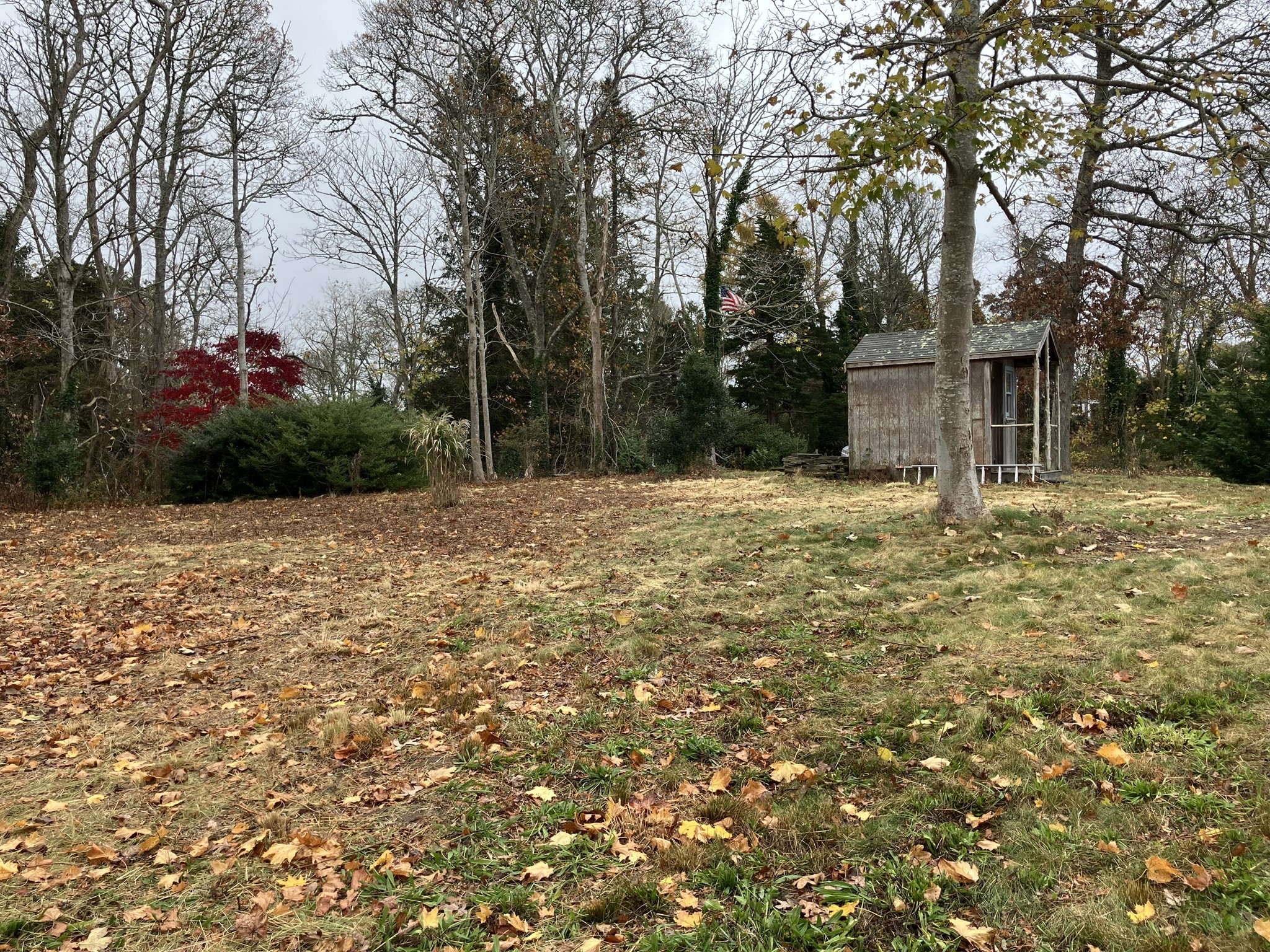 6 Apple, Orleans, MA 02653 - Image 5