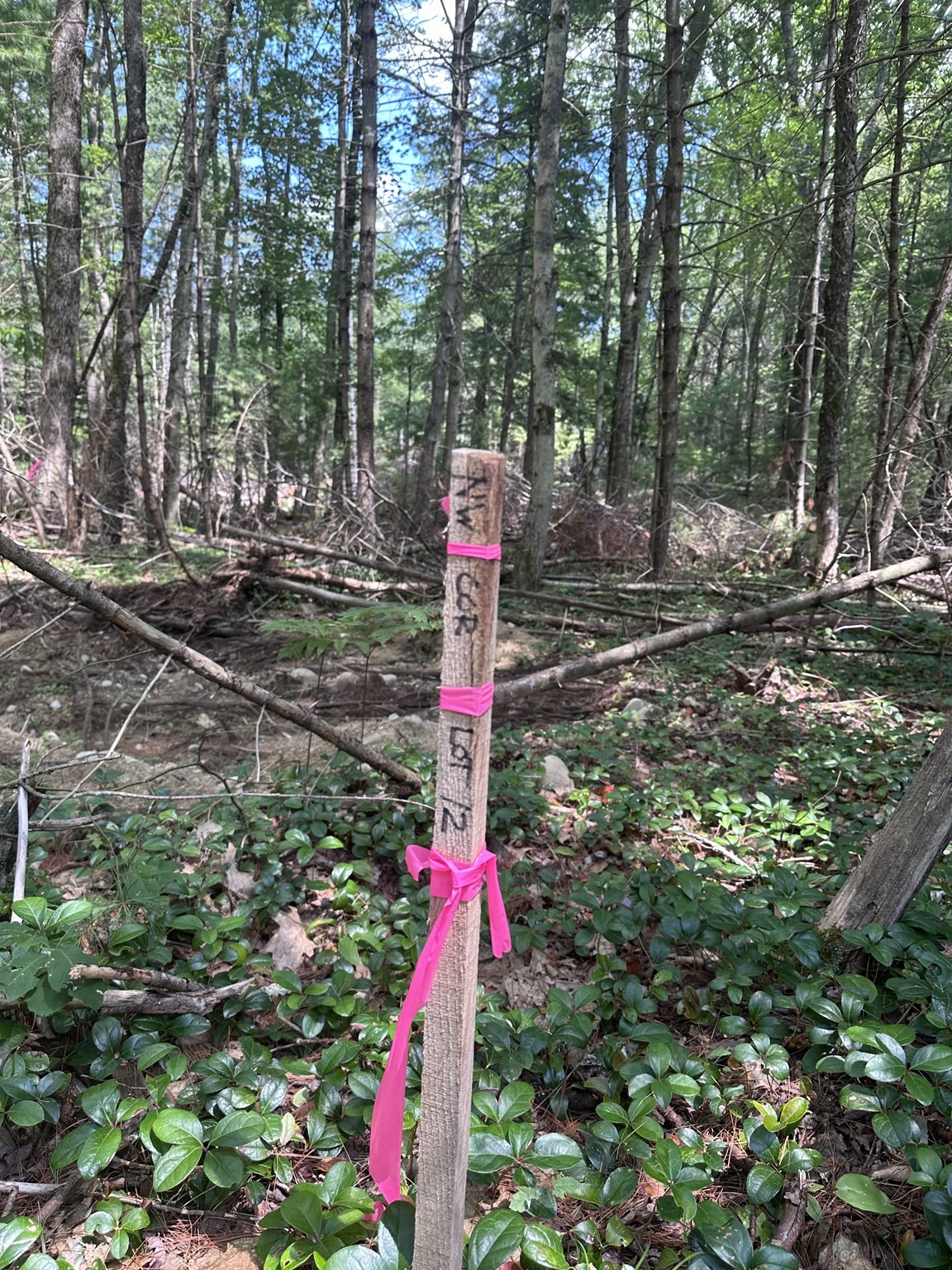 14 Baldwinville State Road, Winchendon, MA 01475 - Image 6