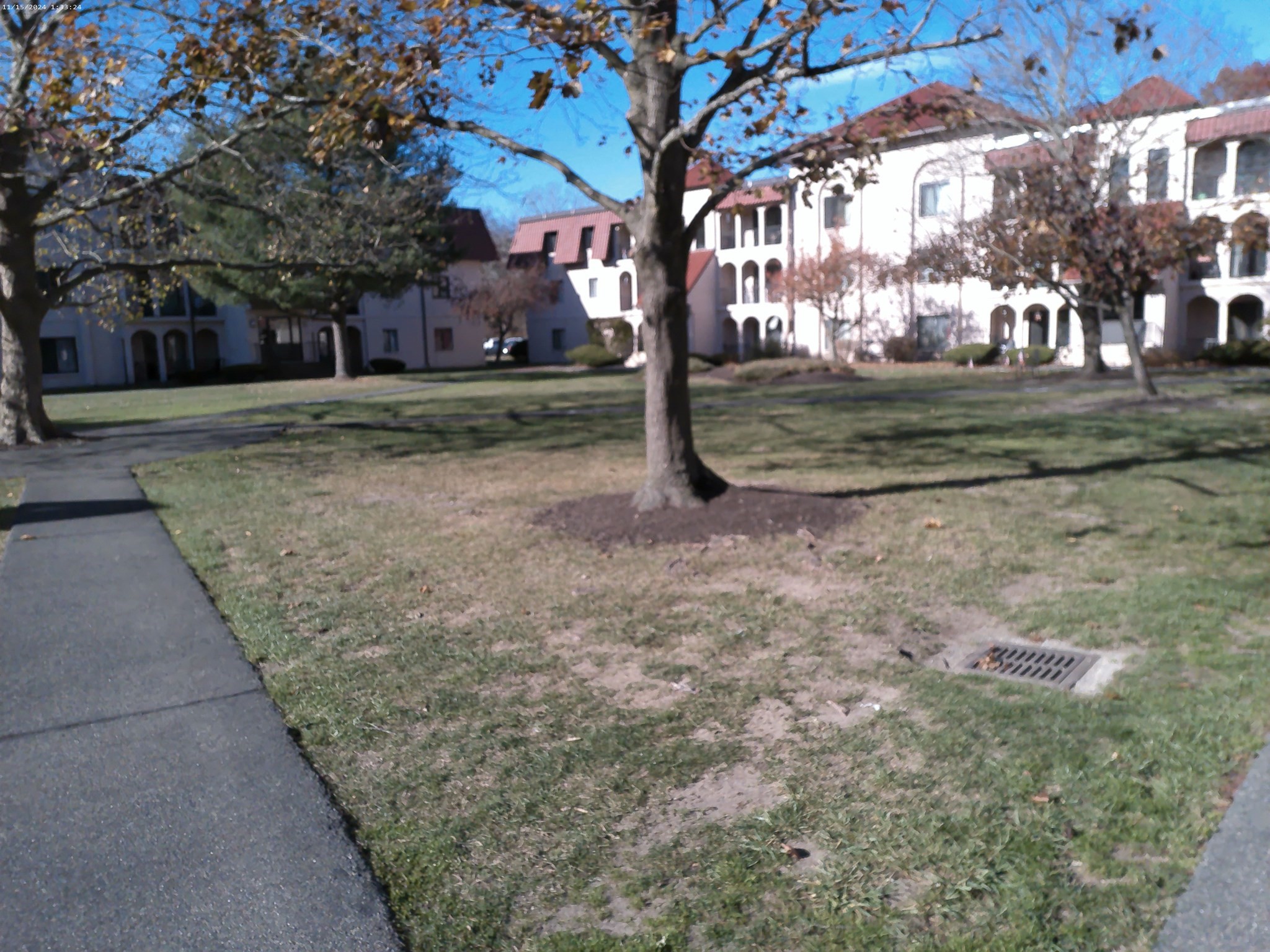 brockton - #73331266