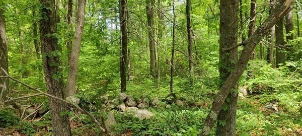 47 Guinevere, Easton, MA 02356 - Image 4