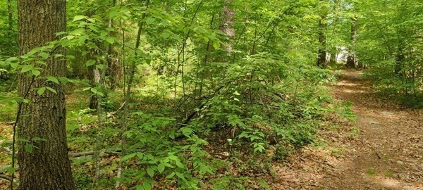 47 Guinevere, Easton, MA 02356 - Image 5