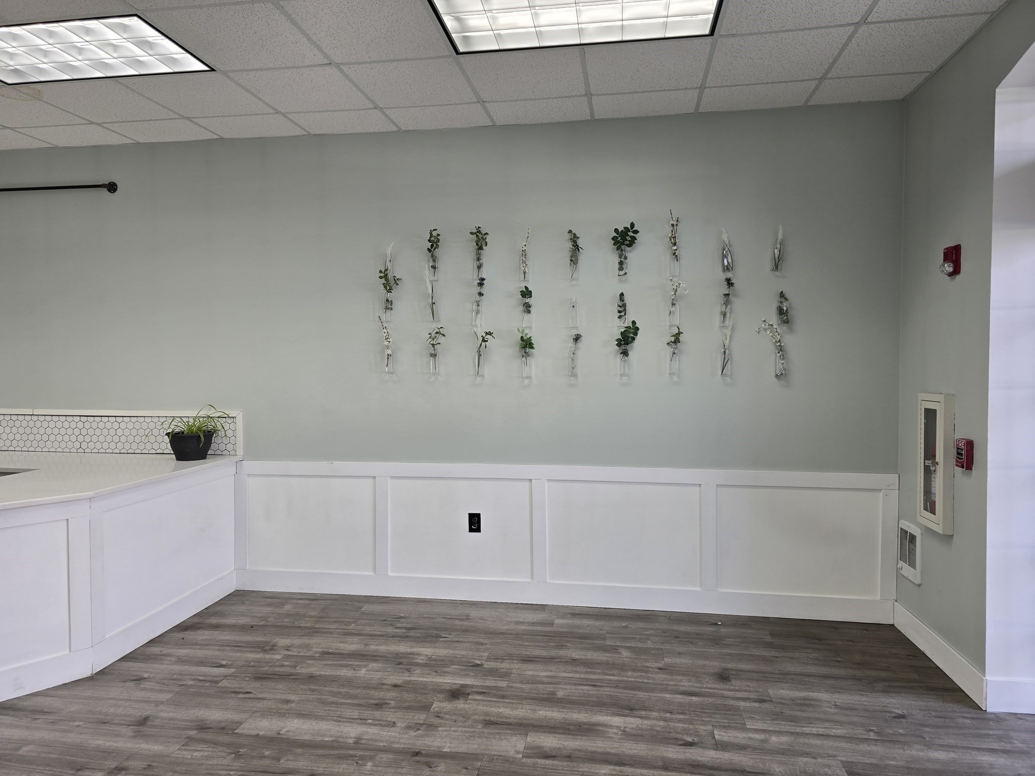 377 College Street, Amherst, MA 01002 - Image 4