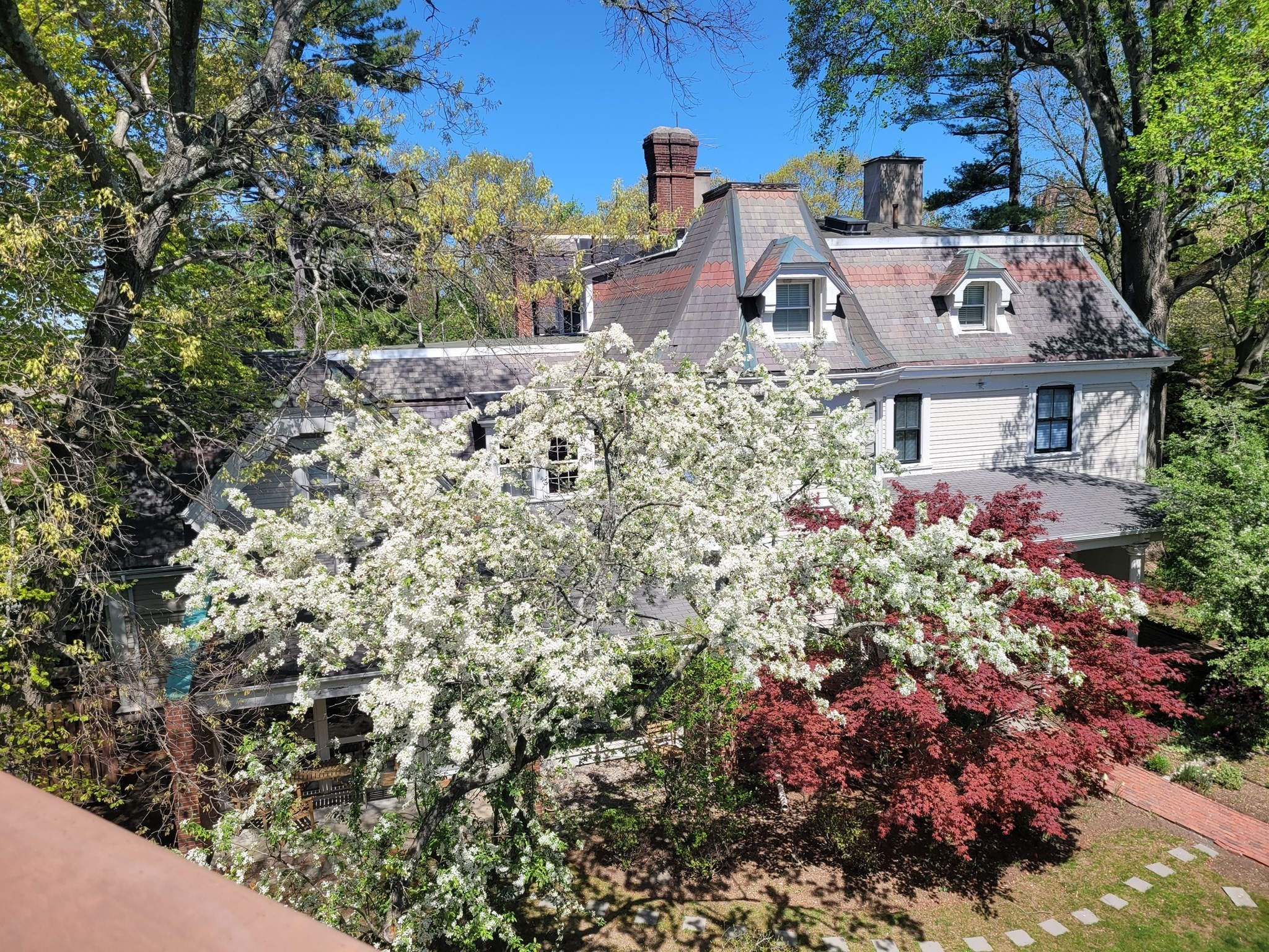 jamaica-plain - #73335019