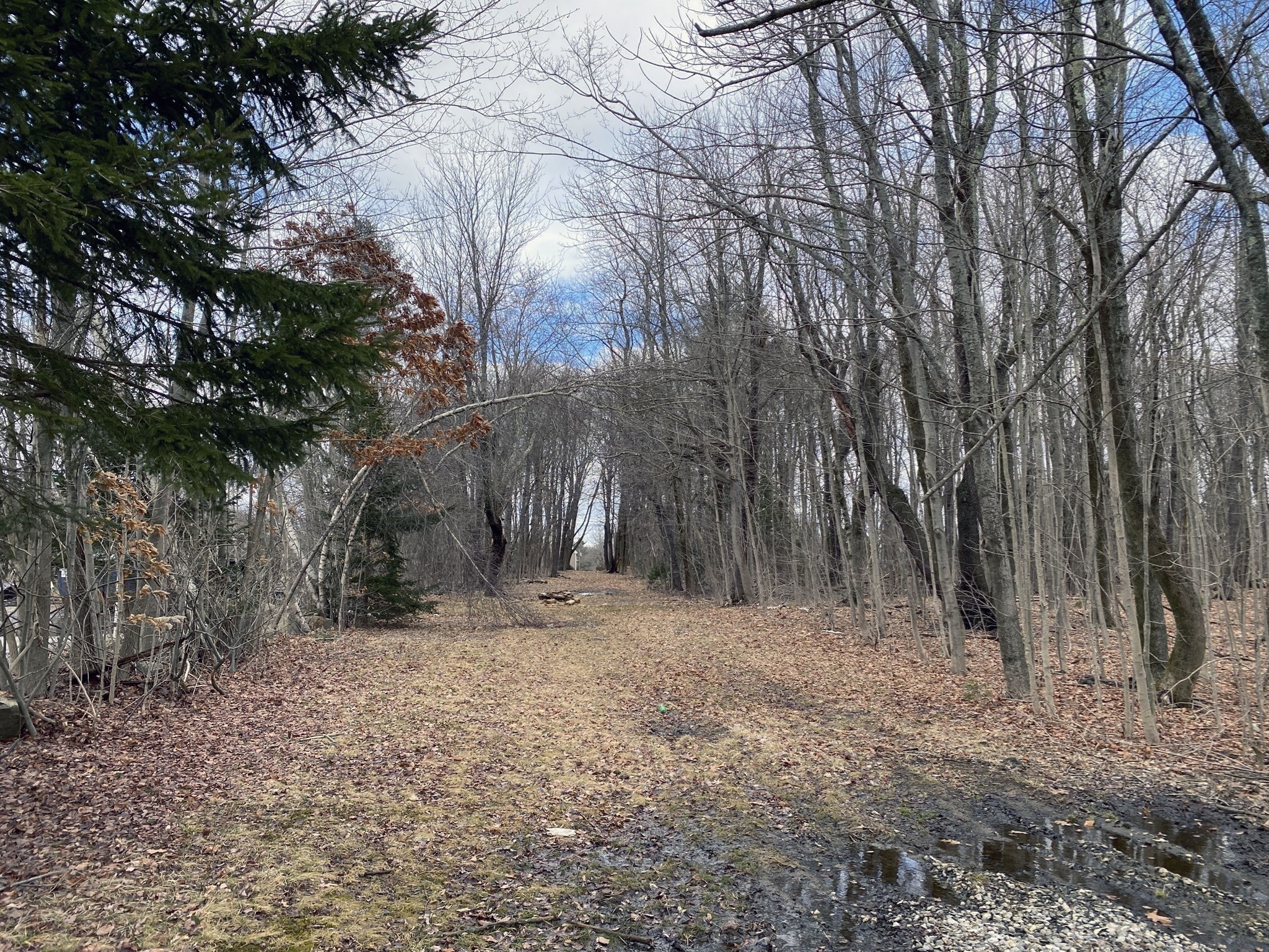 95 Maple Ave, Rutland, MA 01543 - Image 5