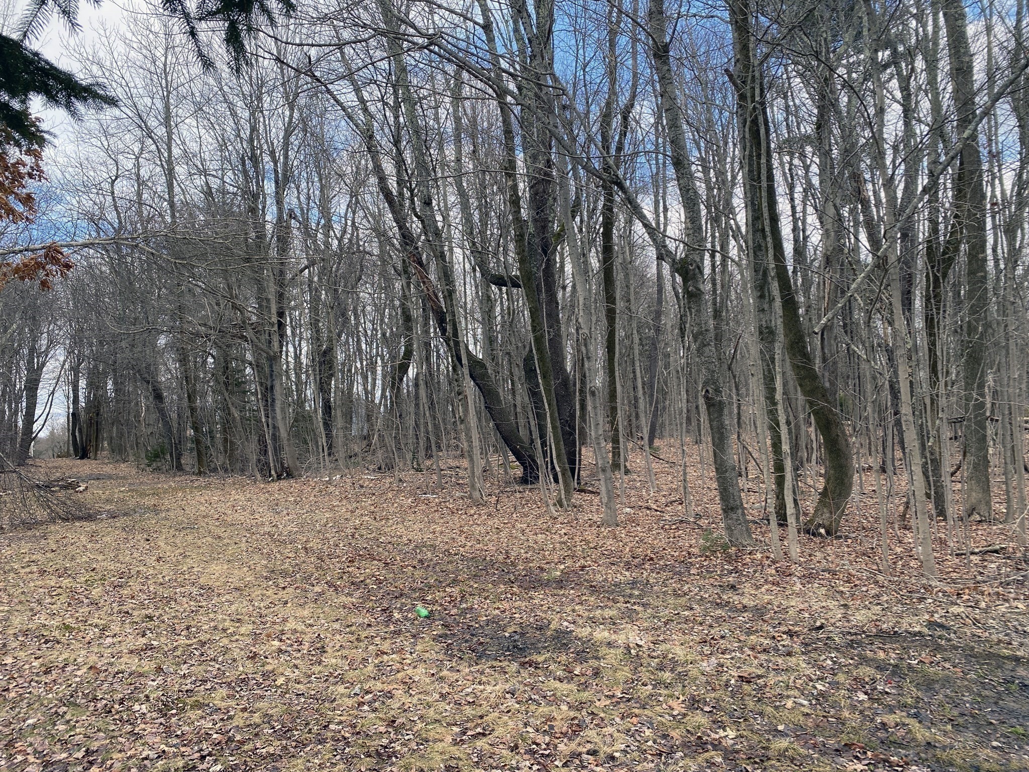 95 Maple Ave, Rutland, MA 01543 - Image 6