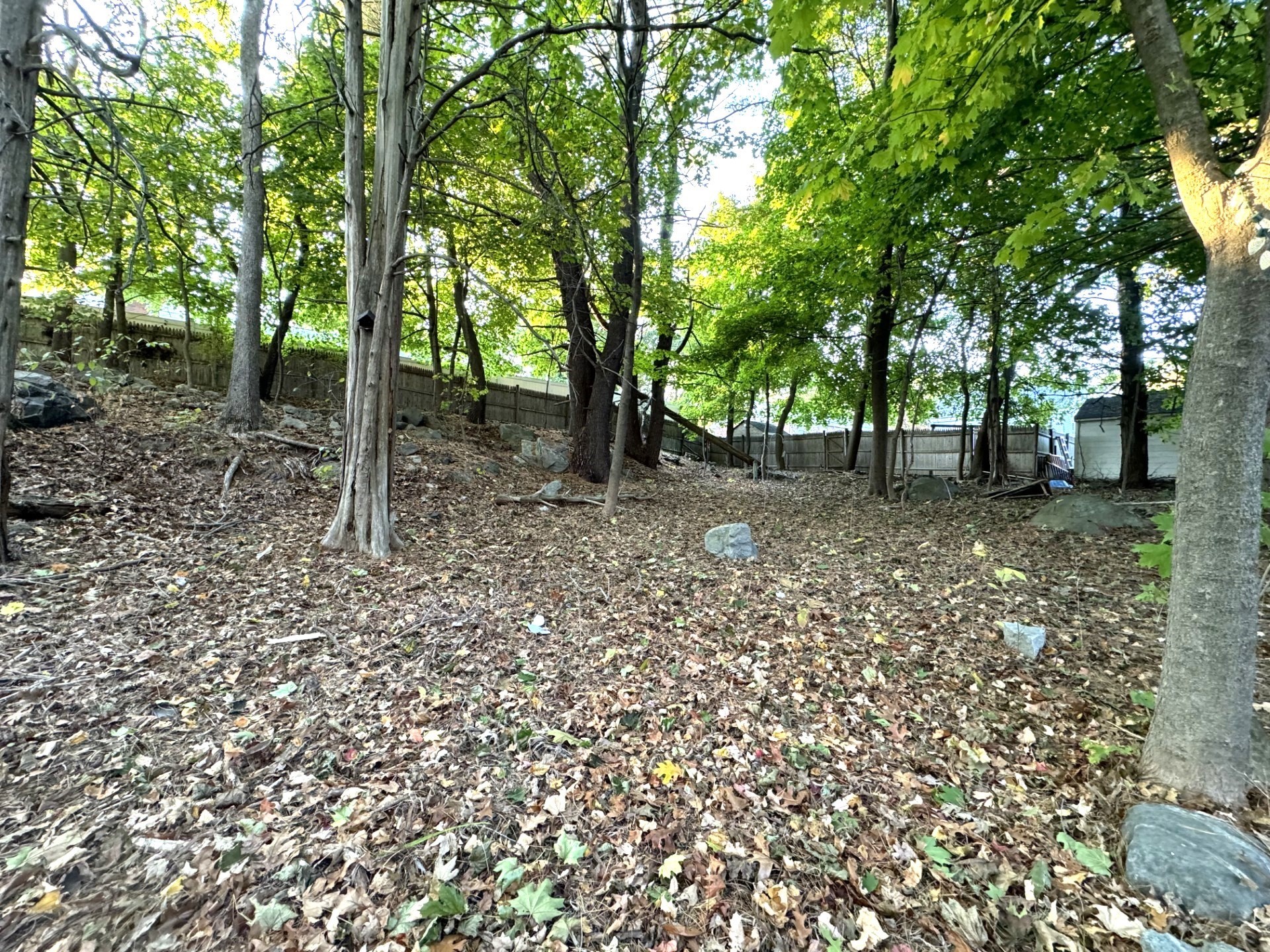 stoneham - #73338412