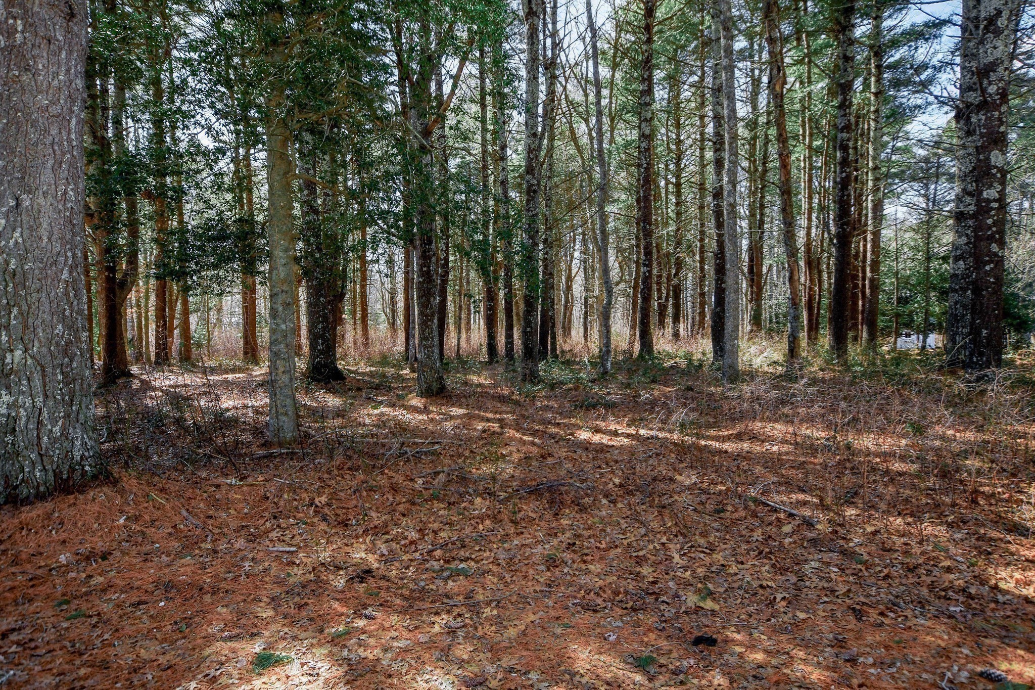 0 Register Road, Marion, MA 02738 - Image 2