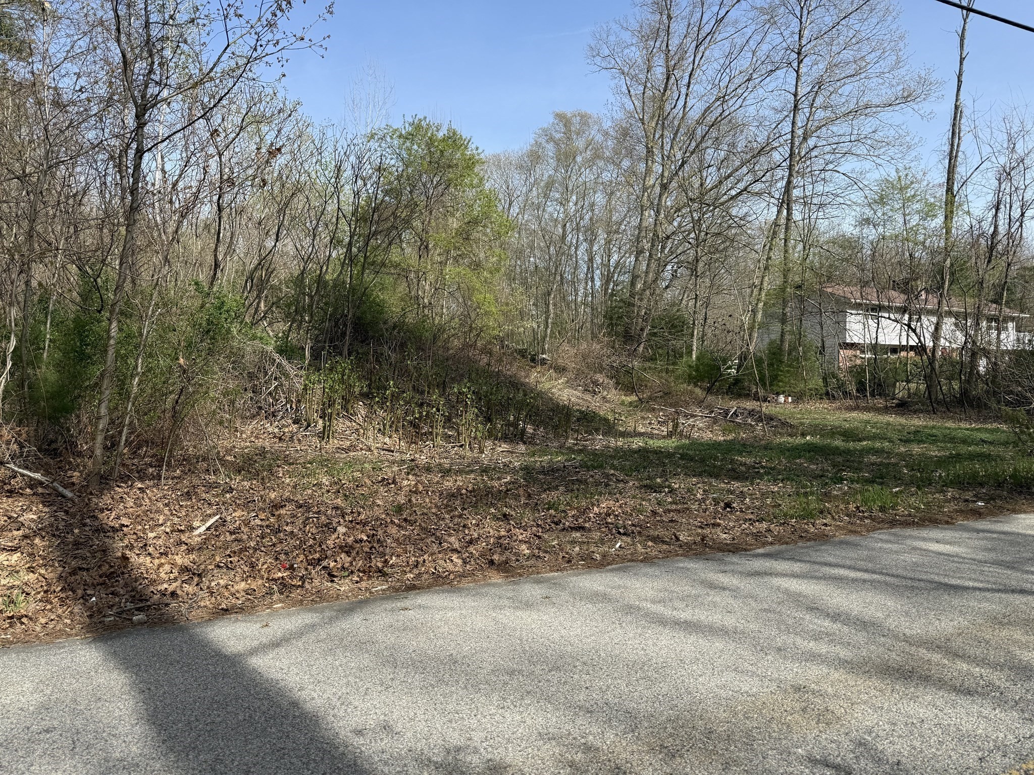 1 Mason Road Ext, Dudley, MA 01571 - Image 2