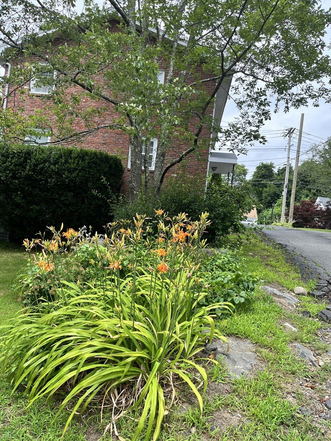 marblehead - #73340394