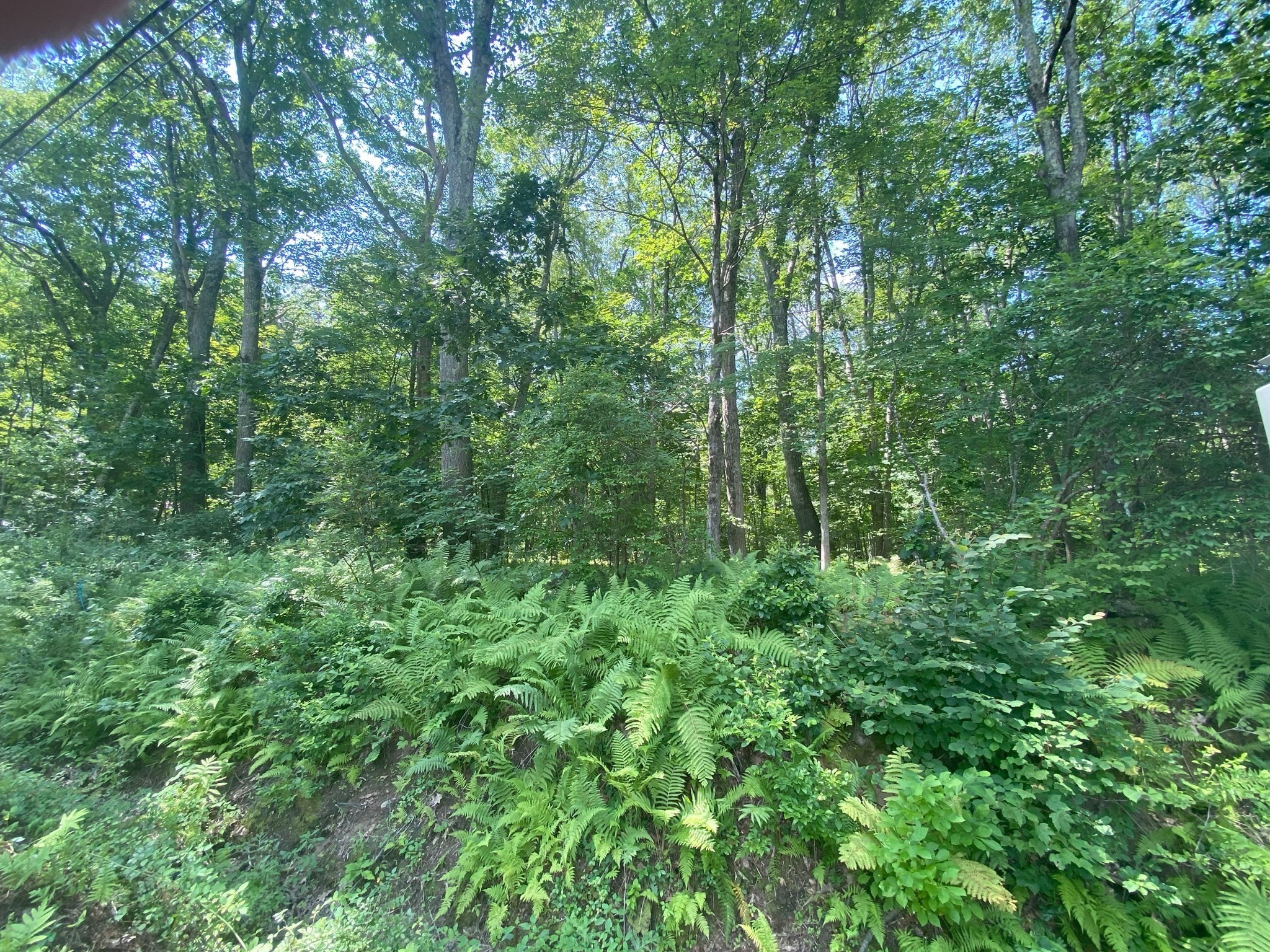 2 Chapin Rd, Hampden, MA 01036 - Image 1