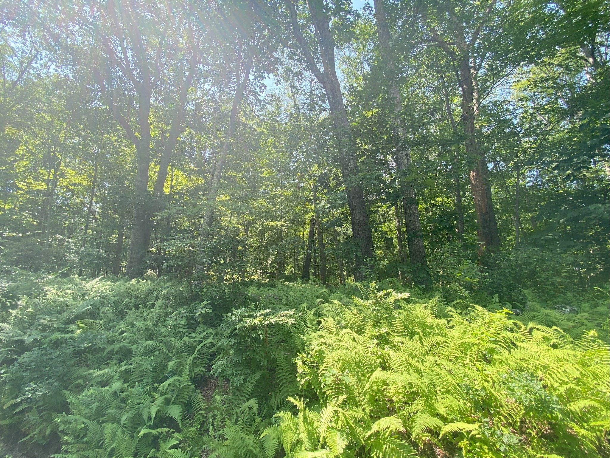 2 Chapin Rd, Hampden, MA 01036 - Image 2