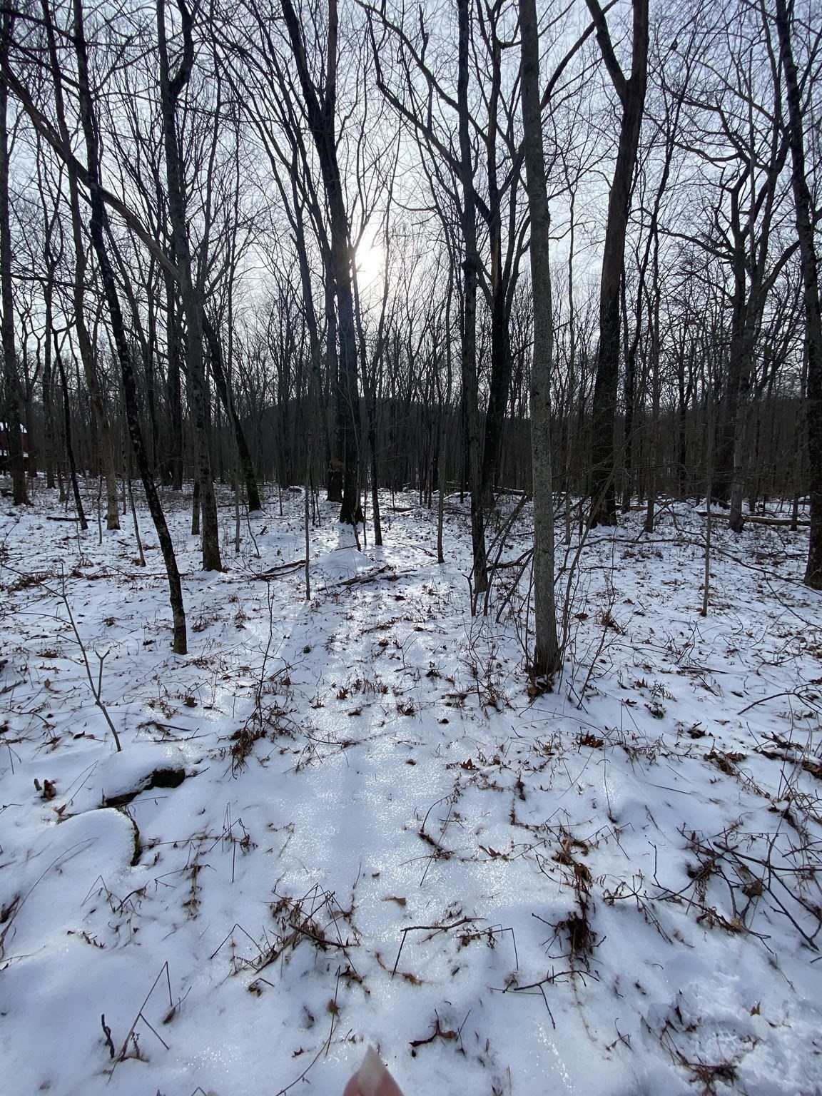 2 Chapin Rd, Hampden, MA 01036 - Image 11