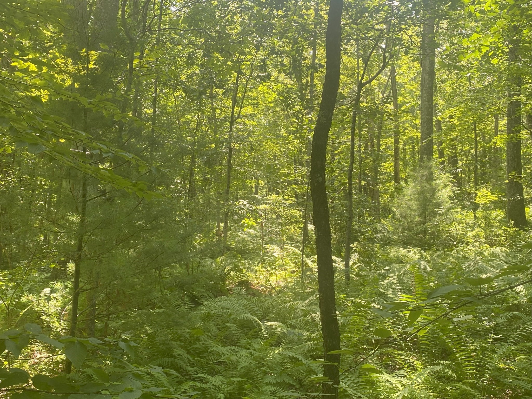 2 Chapin Rd, Hampden, MA 01036 - Image 4