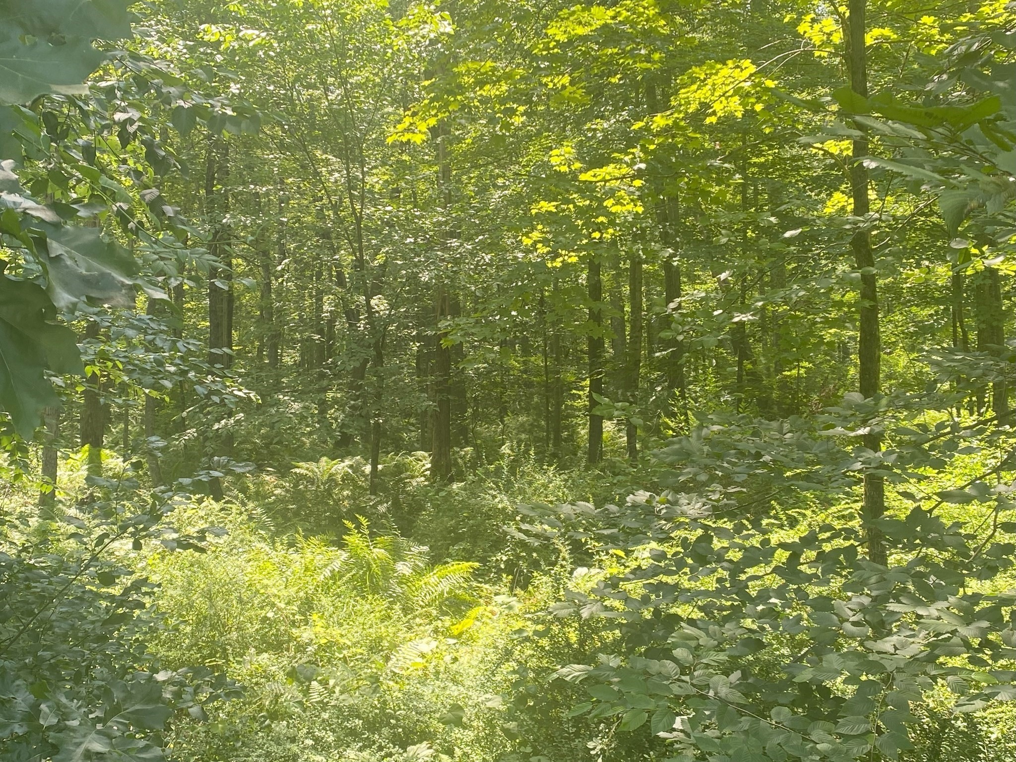 2 Chapin Rd, Hampden, MA 01036 - Image 6