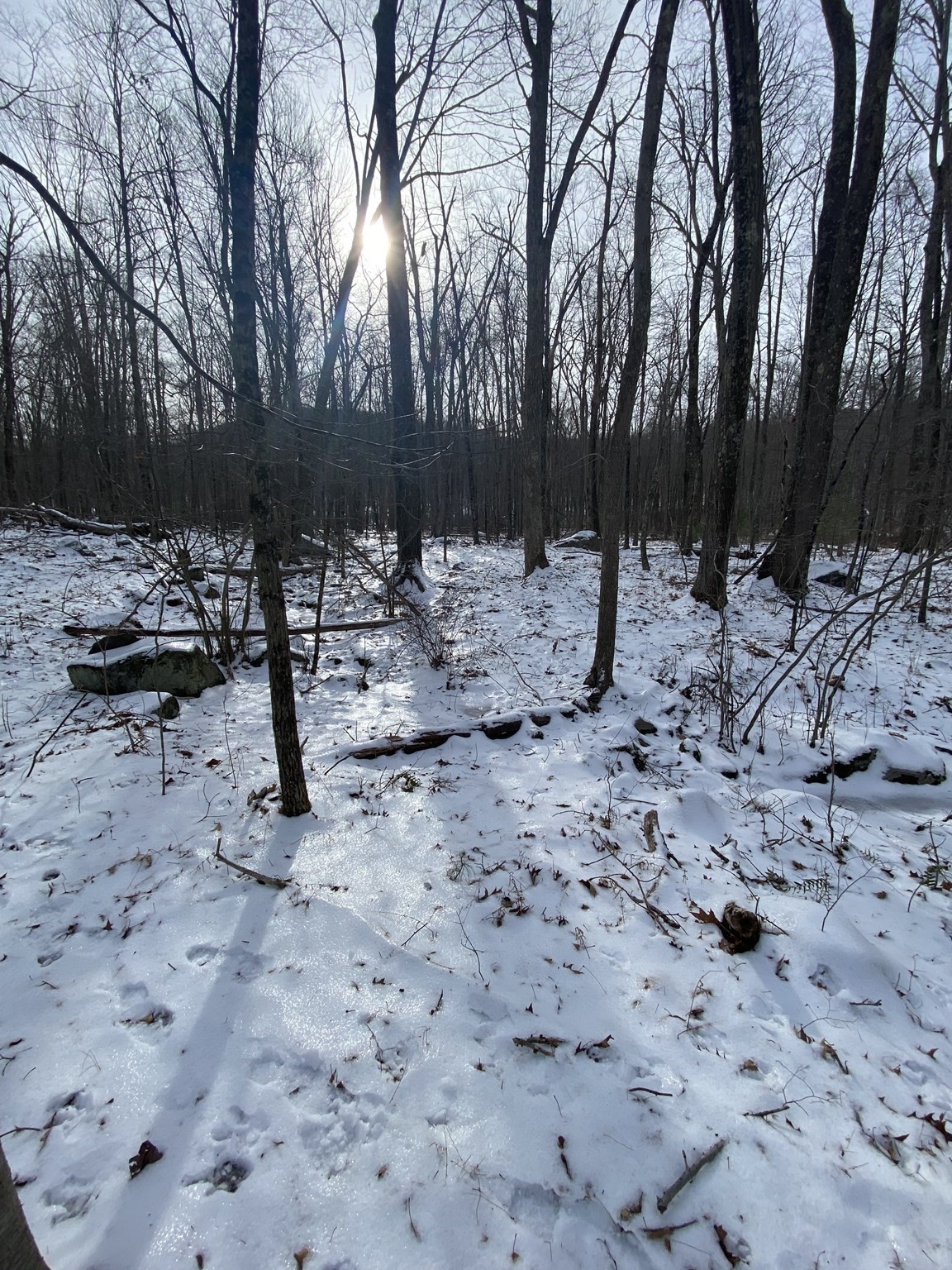 2 Chapin Rd, Hampden, MA 01036 - Image 7