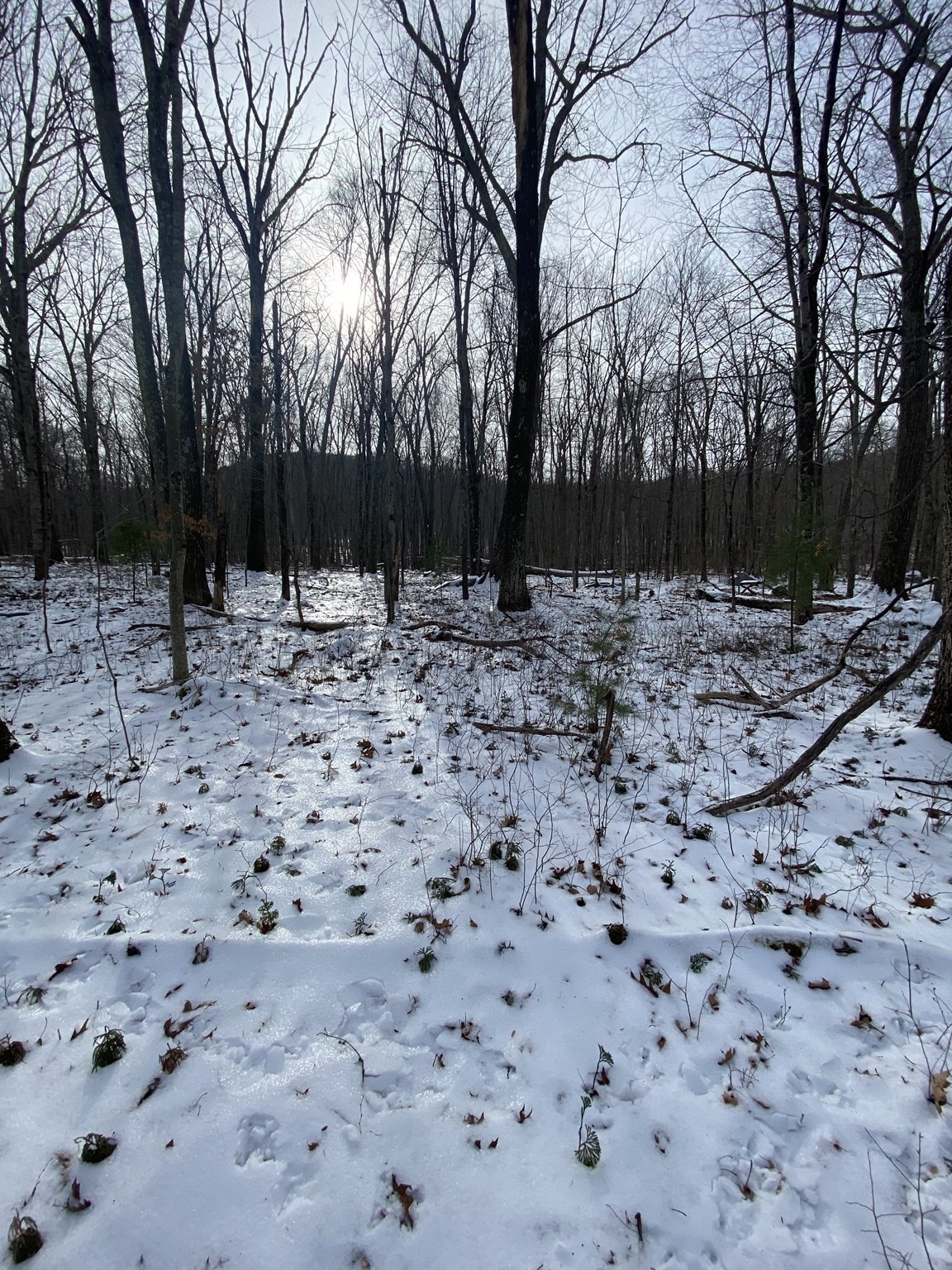 2 Chapin Rd, Hampden, MA 01036 - Image 8