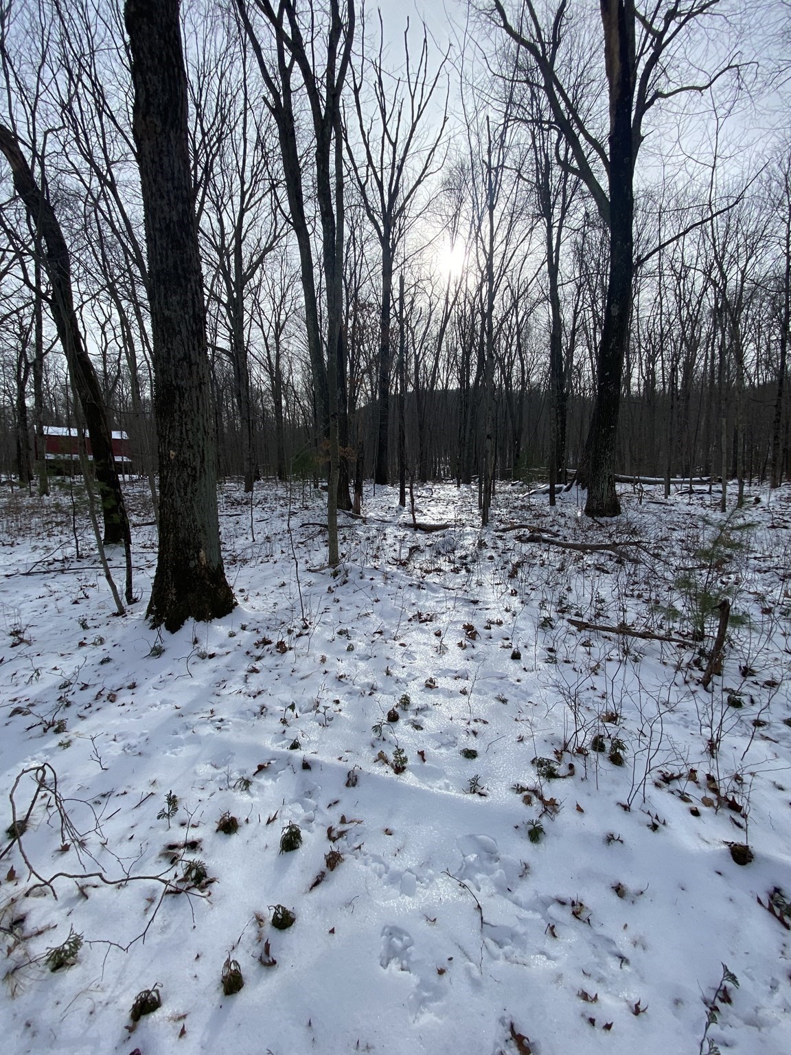 2 Chapin Rd, Hampden, MA 01036 - Image 9