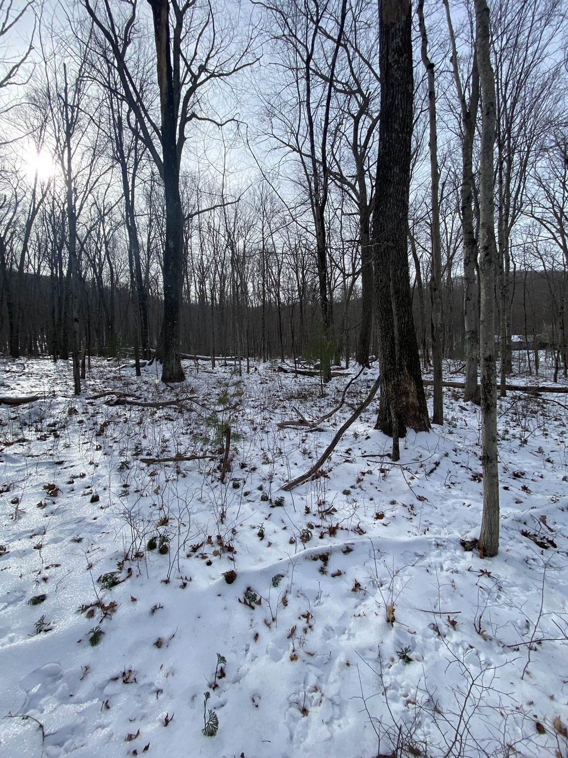 2 Chapin Rd, Hampden, MA 01036 - Image 10