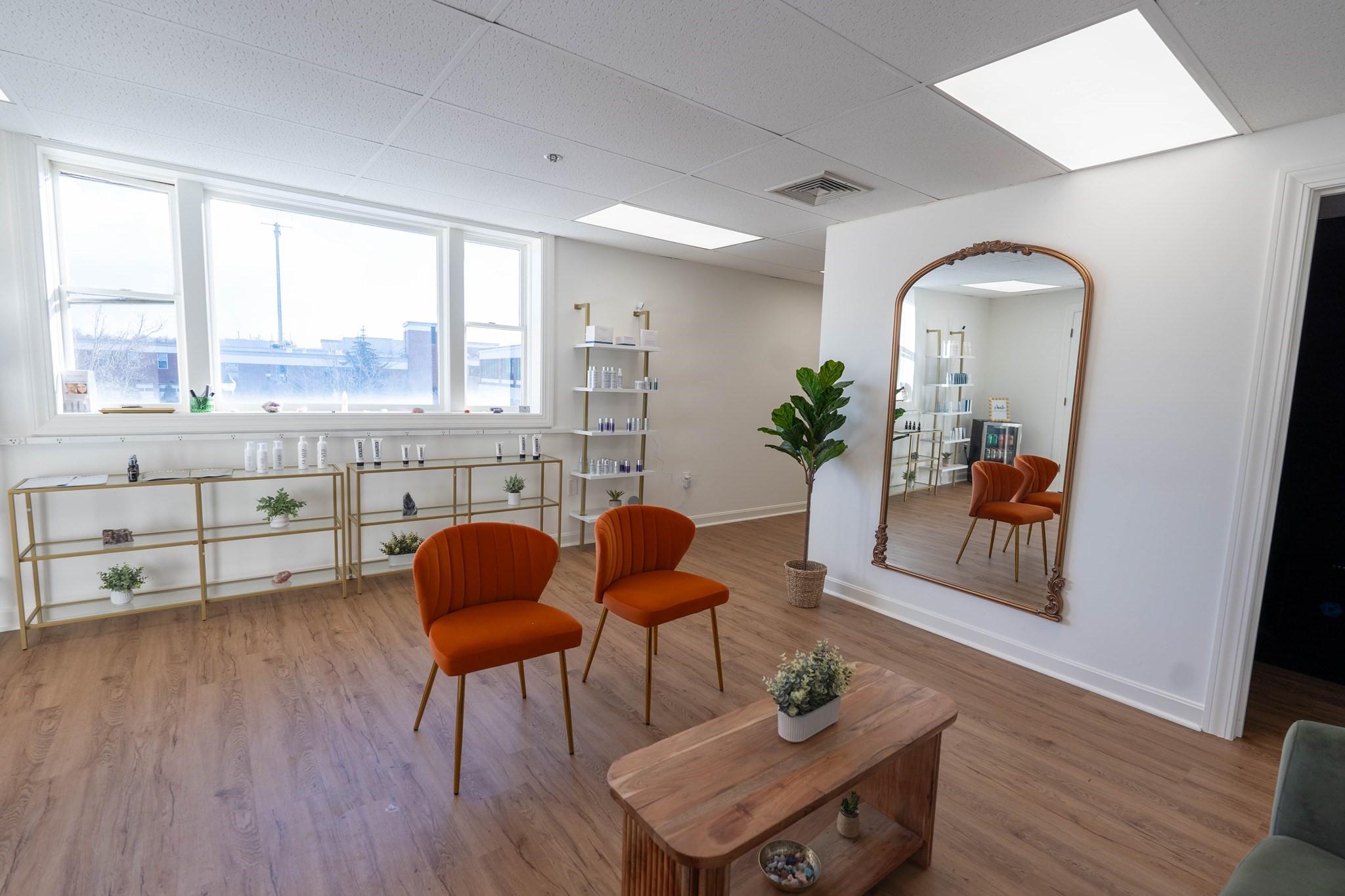 990 Great Plain Avenue, Needham, MA 02492 - Image 8