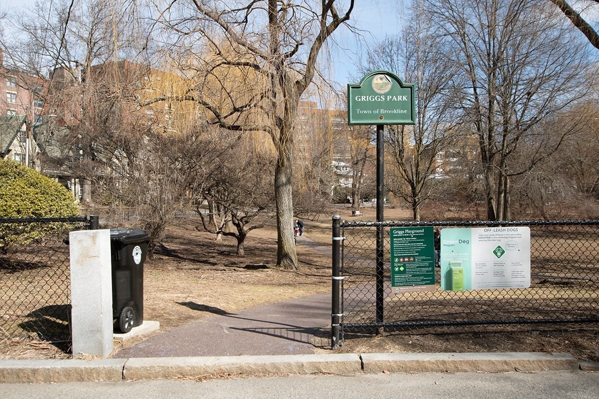 brookline - #73342513