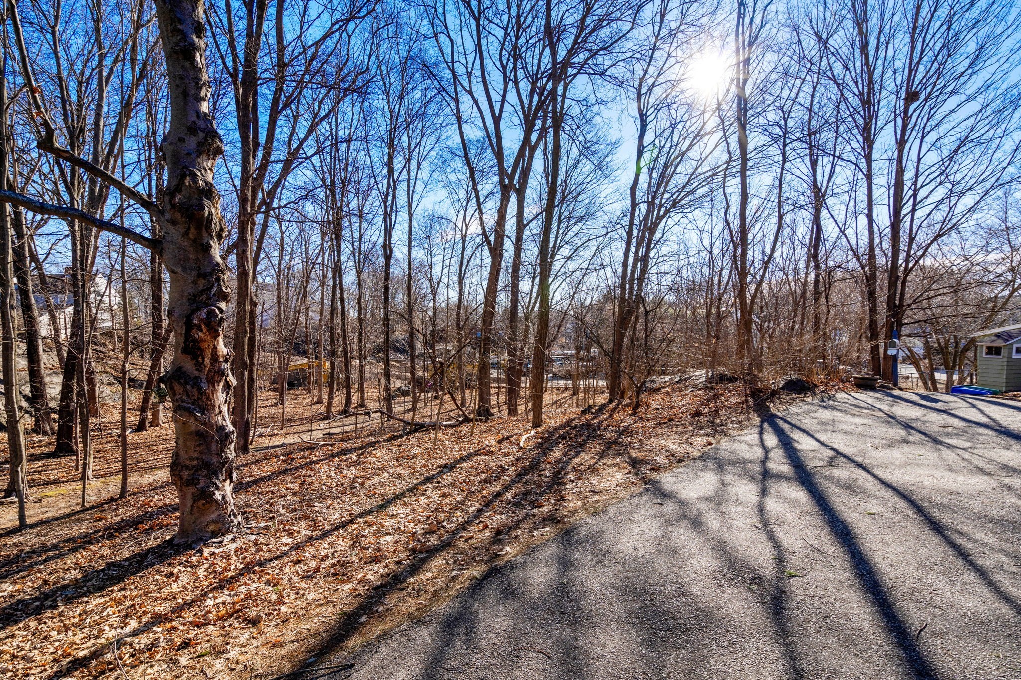 66 Rockland Place, Newton, MA 02464 - Image 3