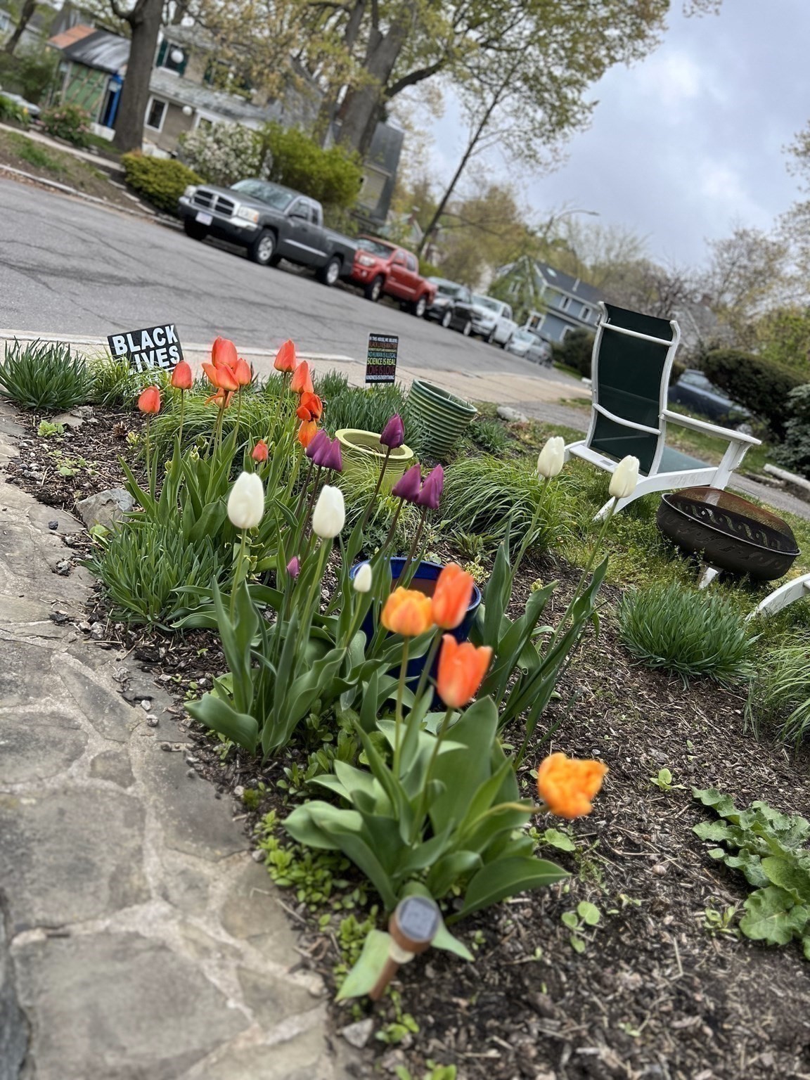 jamaica-plain - #73348219