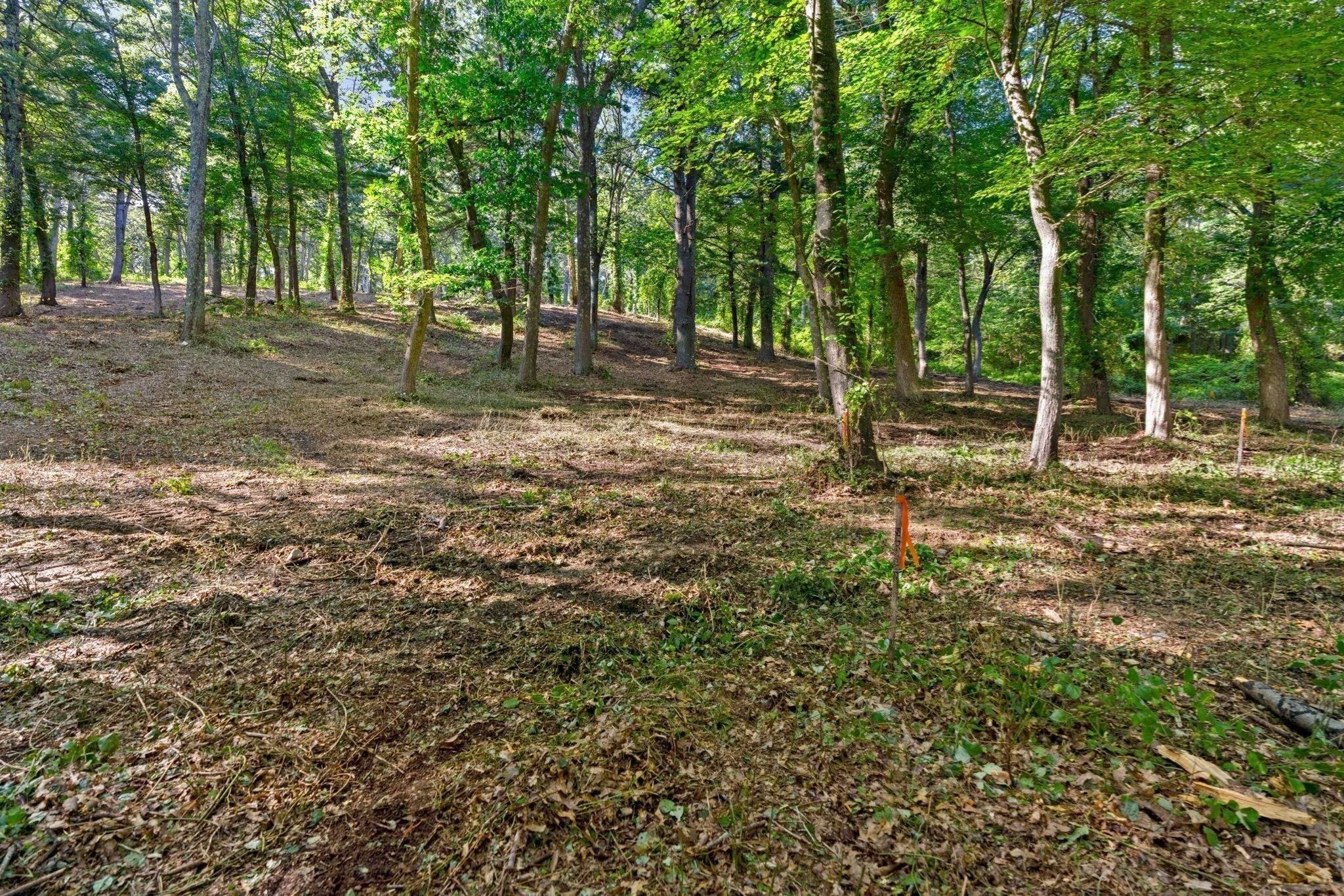 45 Pineswamp Rd, Ipswich, MA 01938