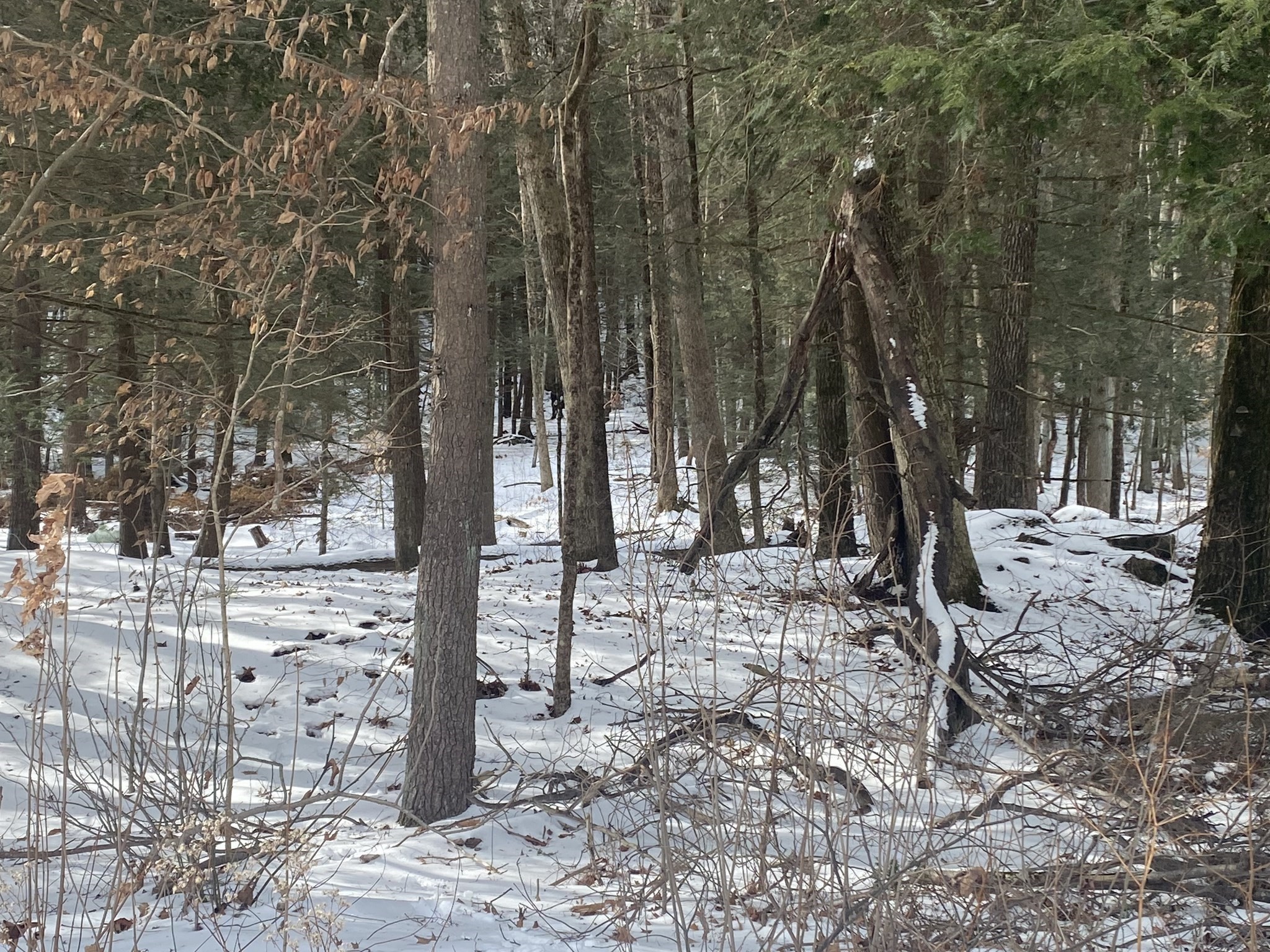 69 Federal St, Belchertown, MA 01007 - Image 3