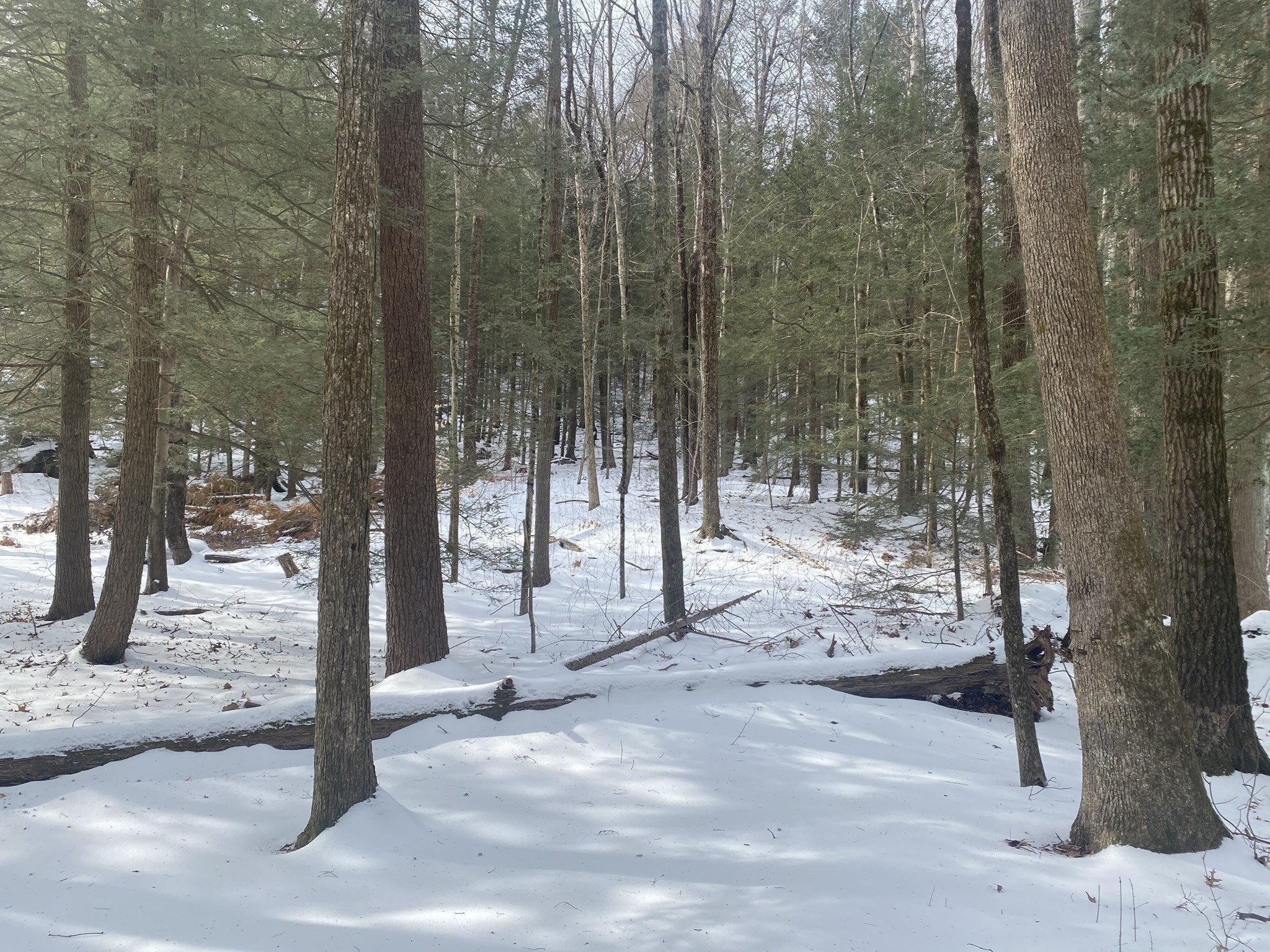 69 Federal St, Belchertown, MA 01007 - Image 4