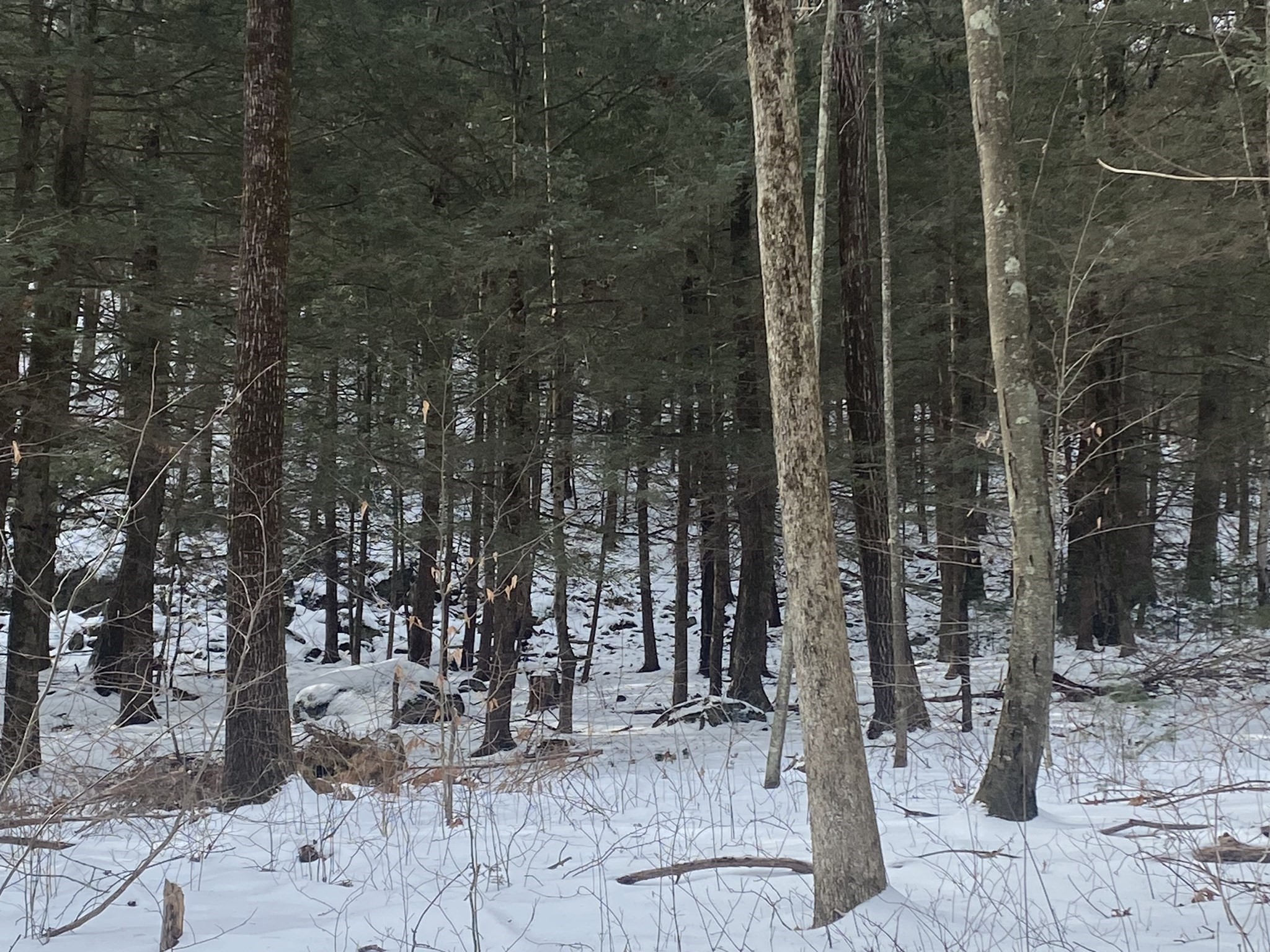 69 Federal St, Belchertown, MA 01007 - Image 5