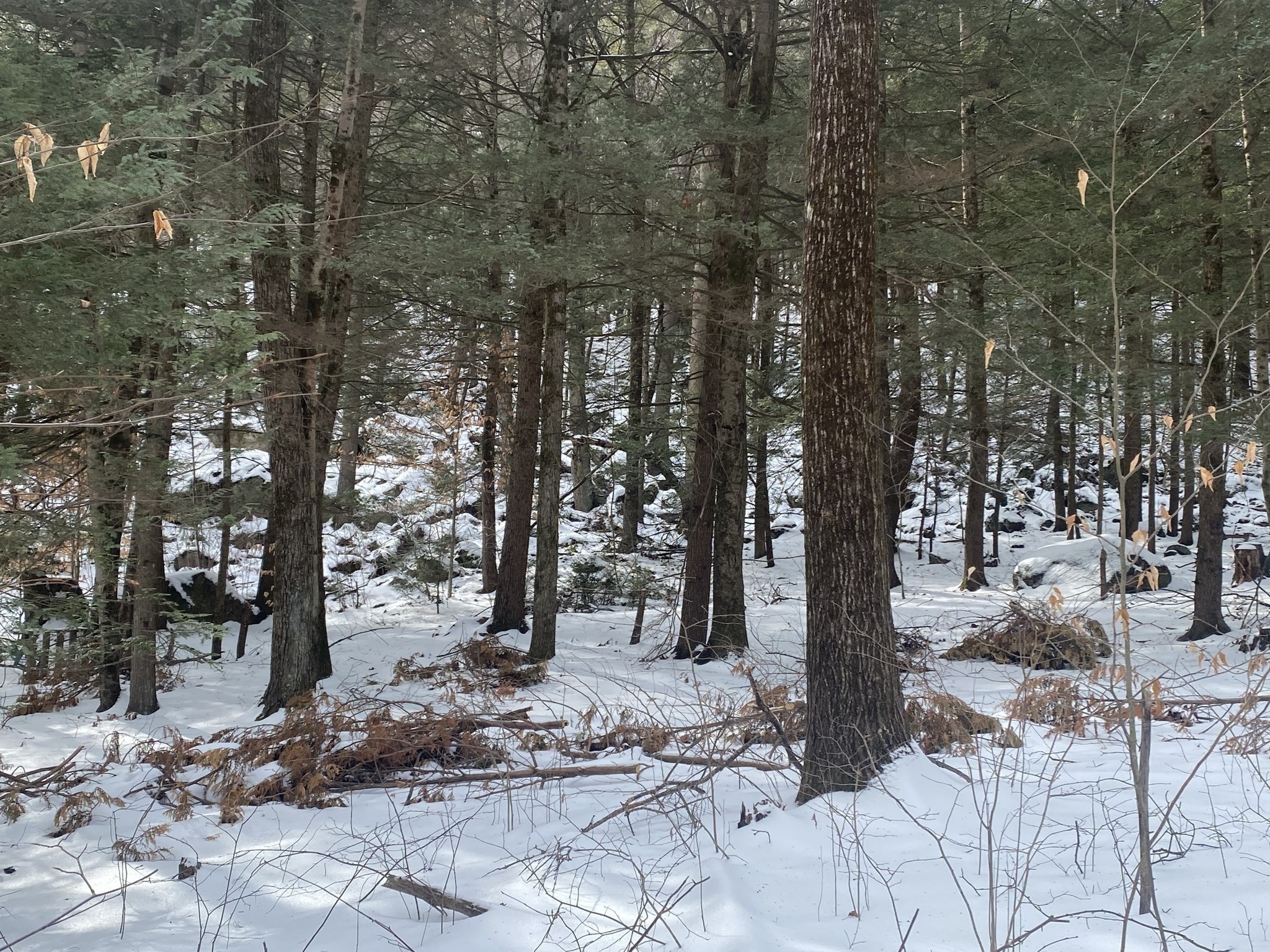 69 Federal St, Belchertown, MA 01007 - Image 6