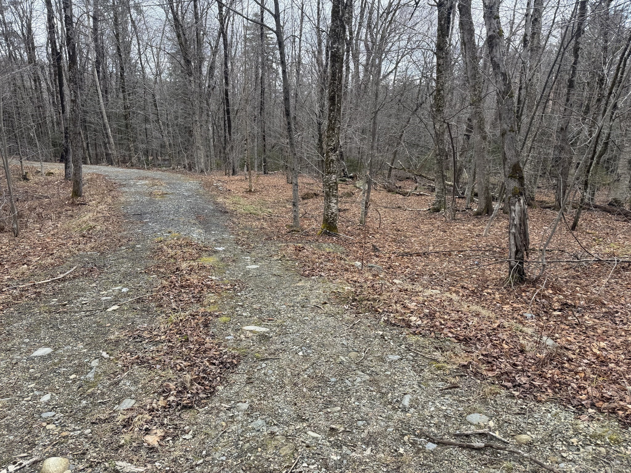 237 Trouble St, Cummington, MA 01026 - Image 1