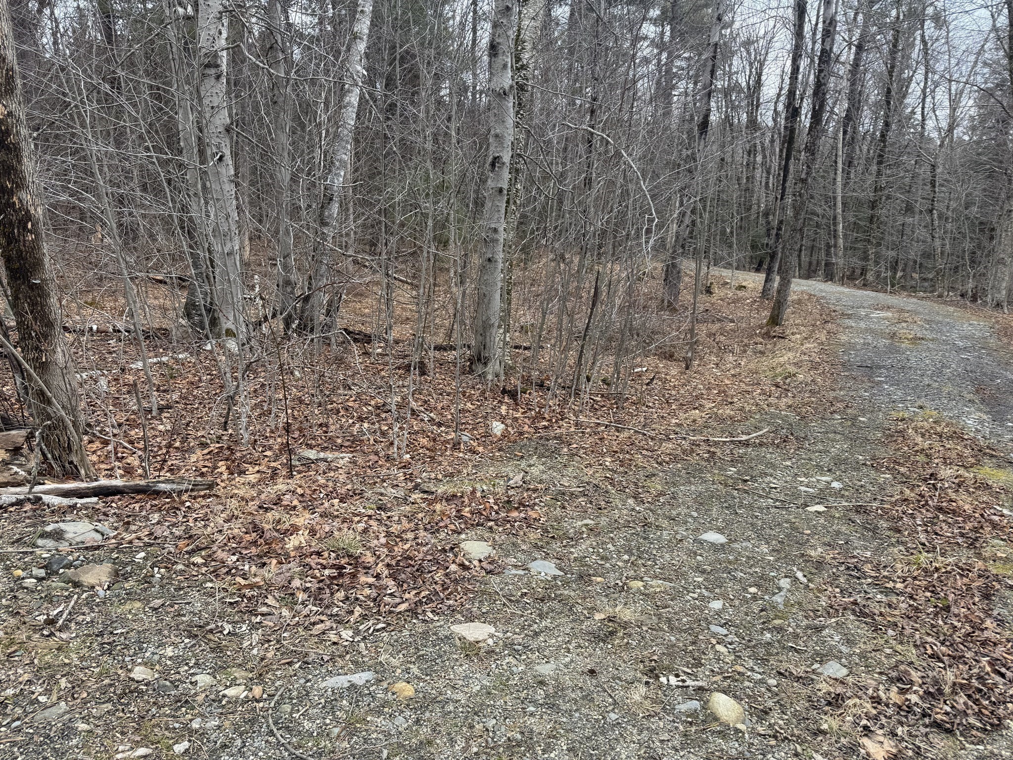 237 Trouble St, Cummington, MA 01026 - Image 2