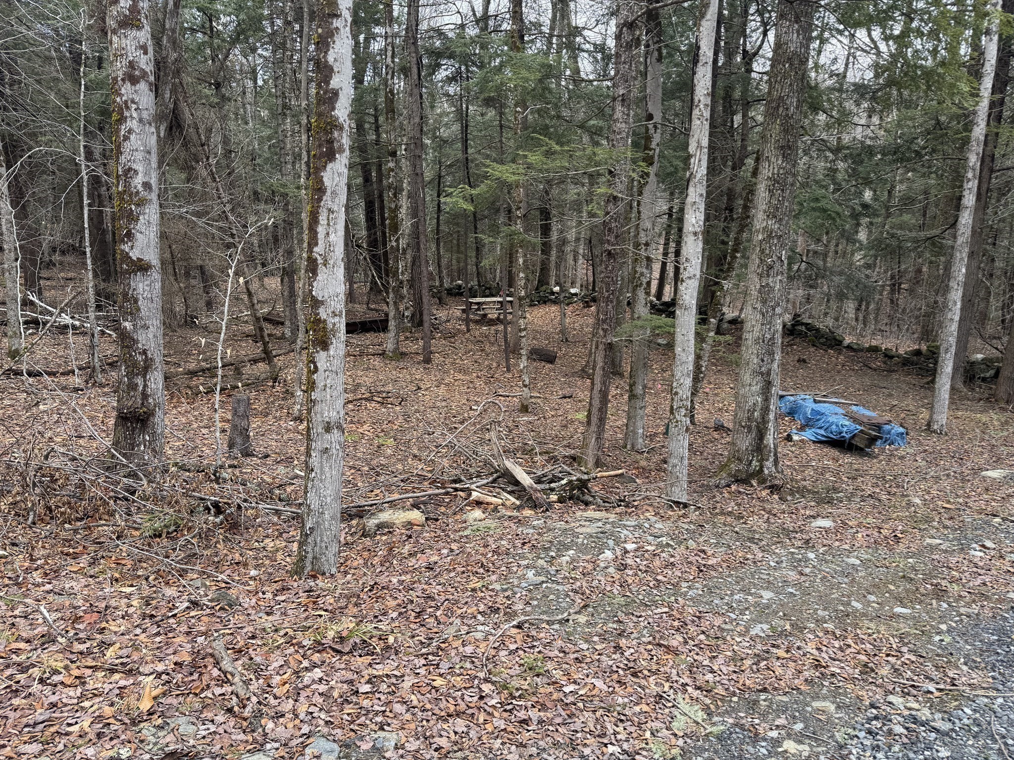 237 Trouble St, Cummington, MA 01026 - Image 3