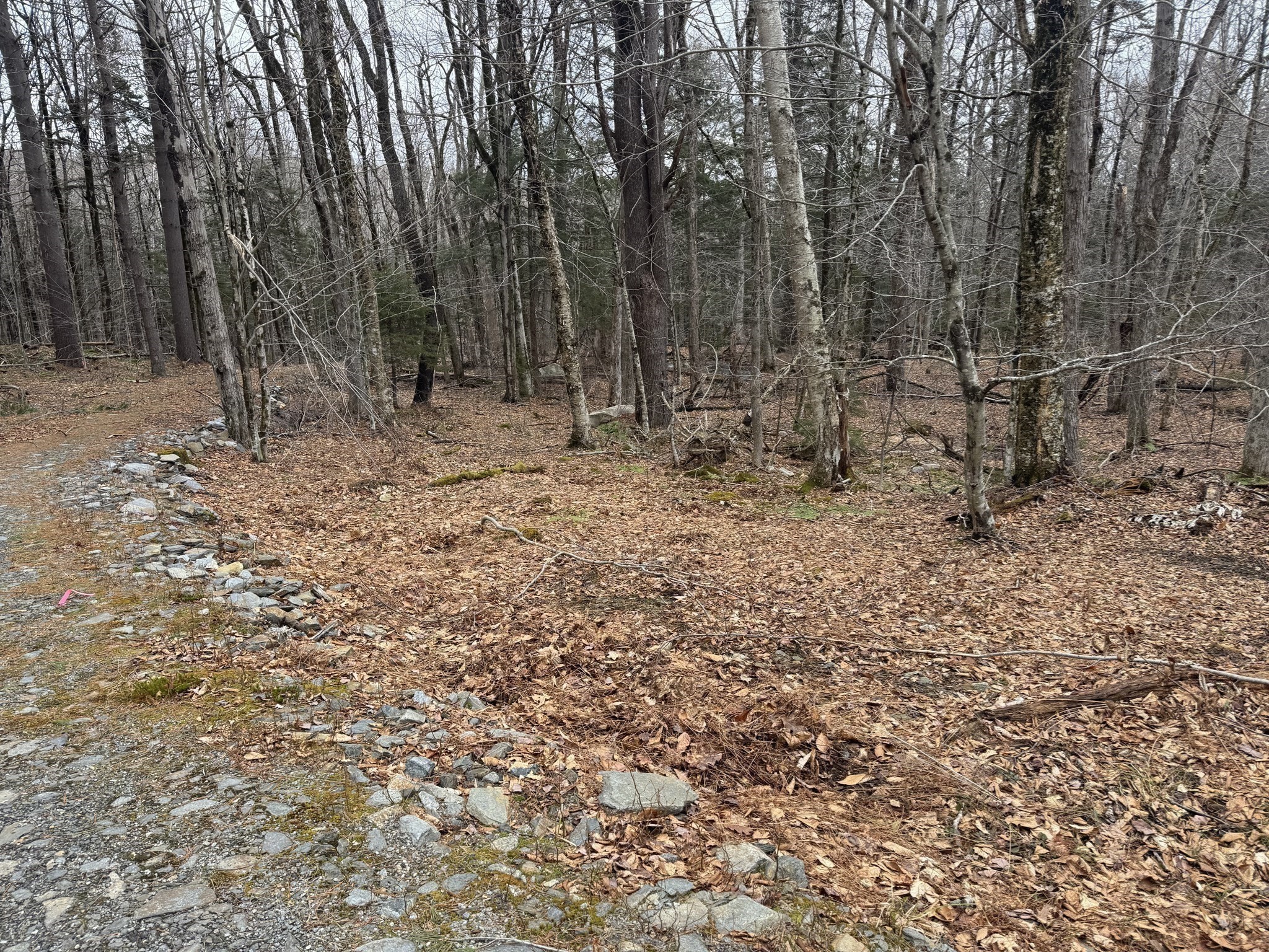 237 Trouble St, Cummington, MA 01026 - Image 4