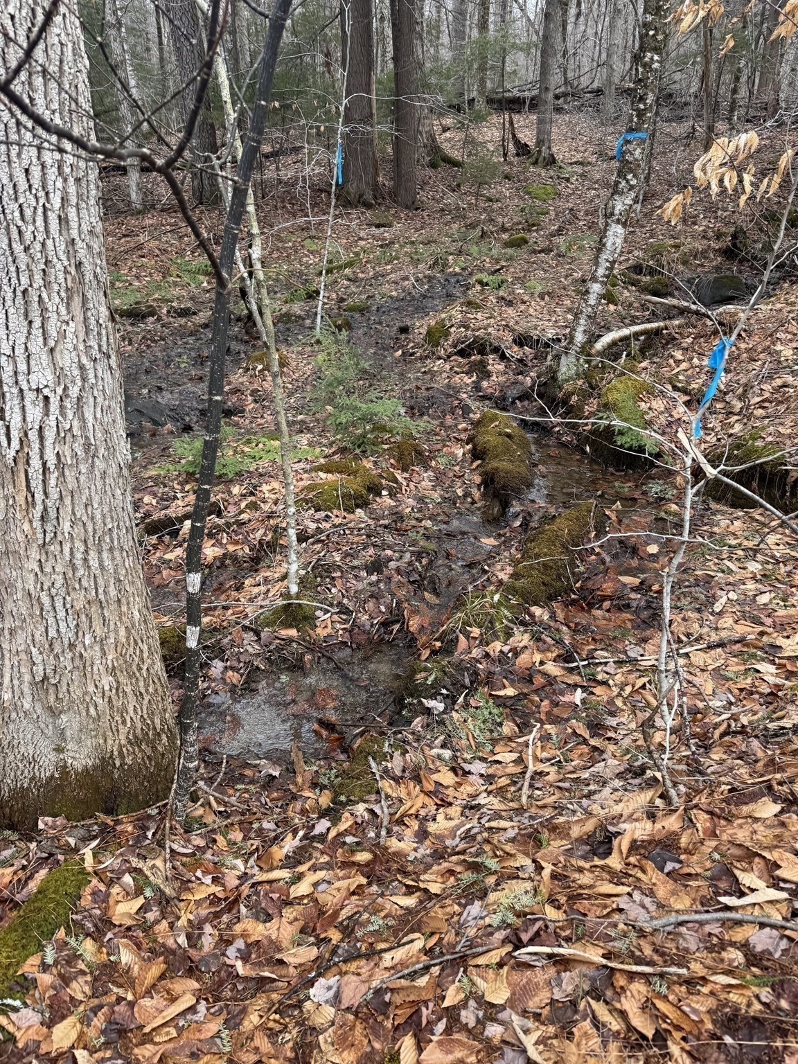 237 Trouble St, Cummington, MA 01026 - Image 8