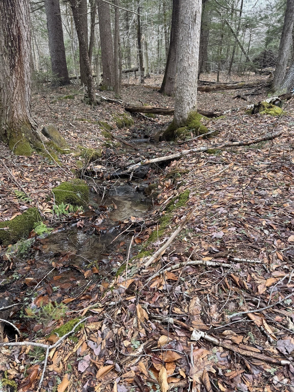 237 Trouble St, Cummington, MA 01026 - Image 9