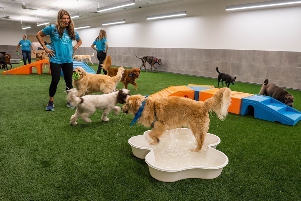 240 Devonshire Street Unit 5011, Downtown, Boston, MA 02110 - Image 37