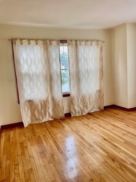 worcester - #73354498