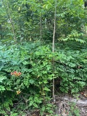 329 Crawford St, Northborough, MA 01532 - Image 2