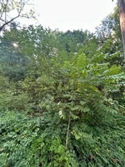 329 Crawford St, Northborough, MA 01532 - Image 4