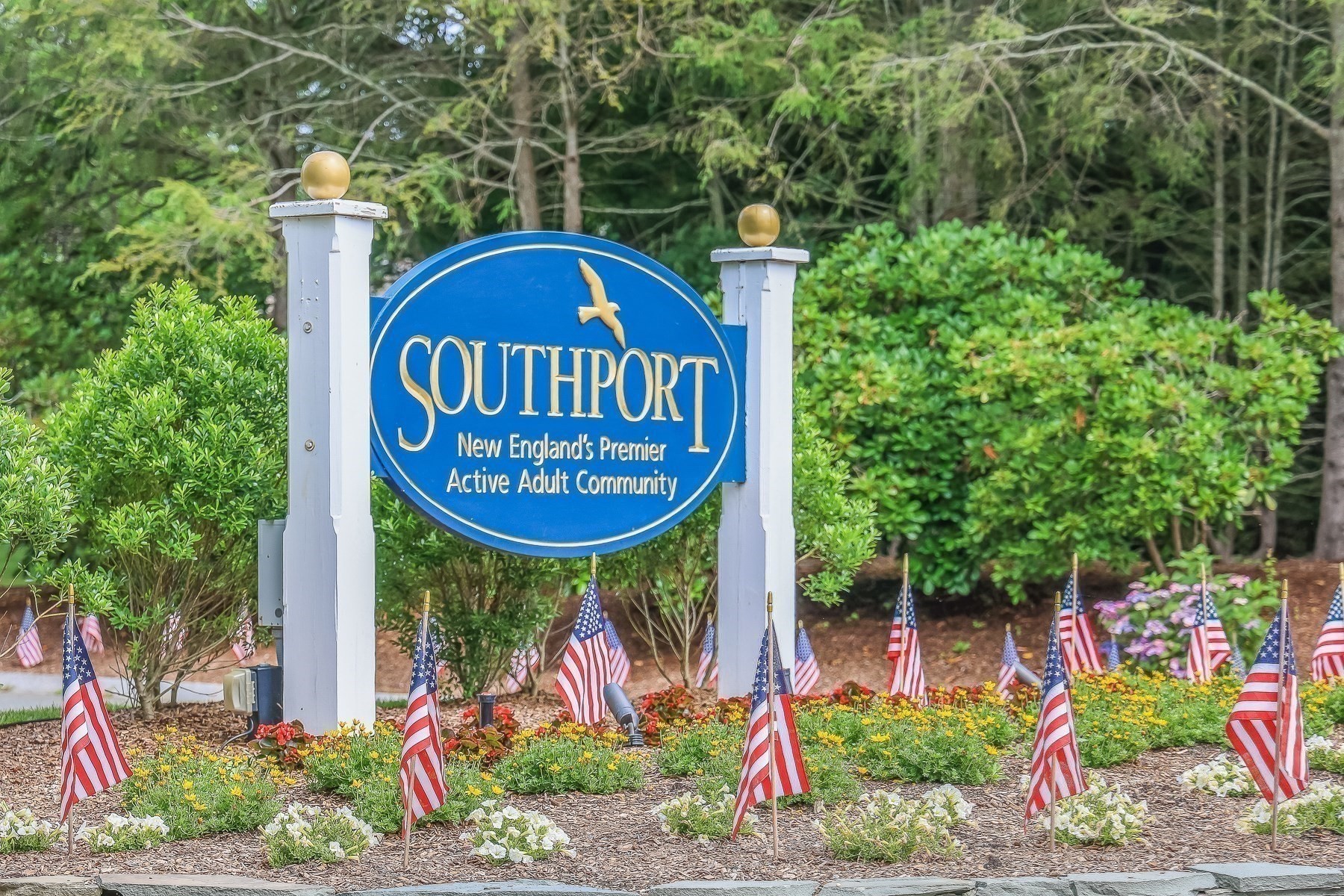 mashpee - #73356160