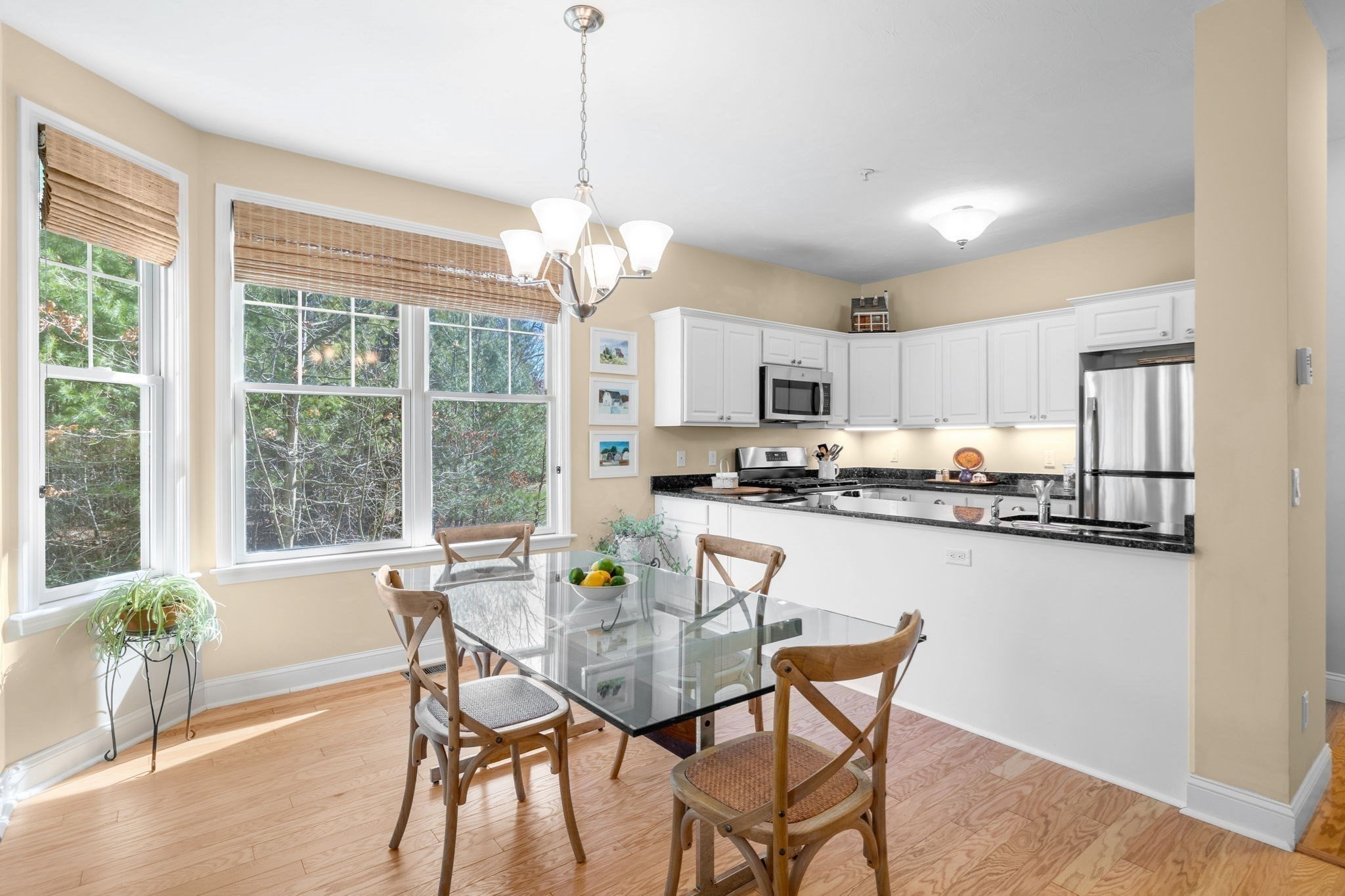 mashpee - #73356160