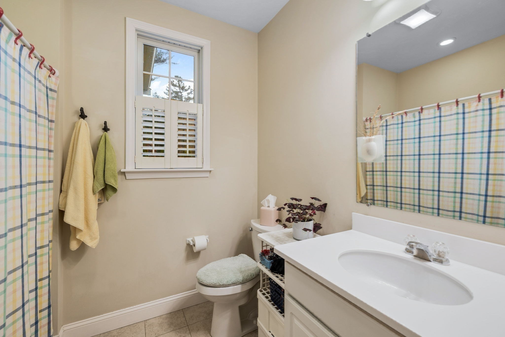 mashpee - #73356160