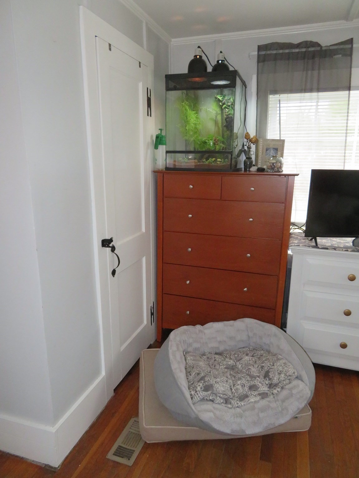 34 Pine, Norton, MA 02766 - Image 16