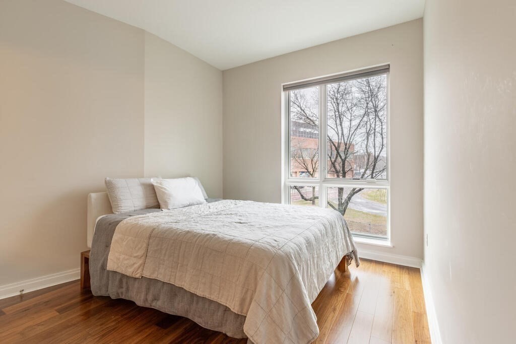 jamaica-plain - #73357258